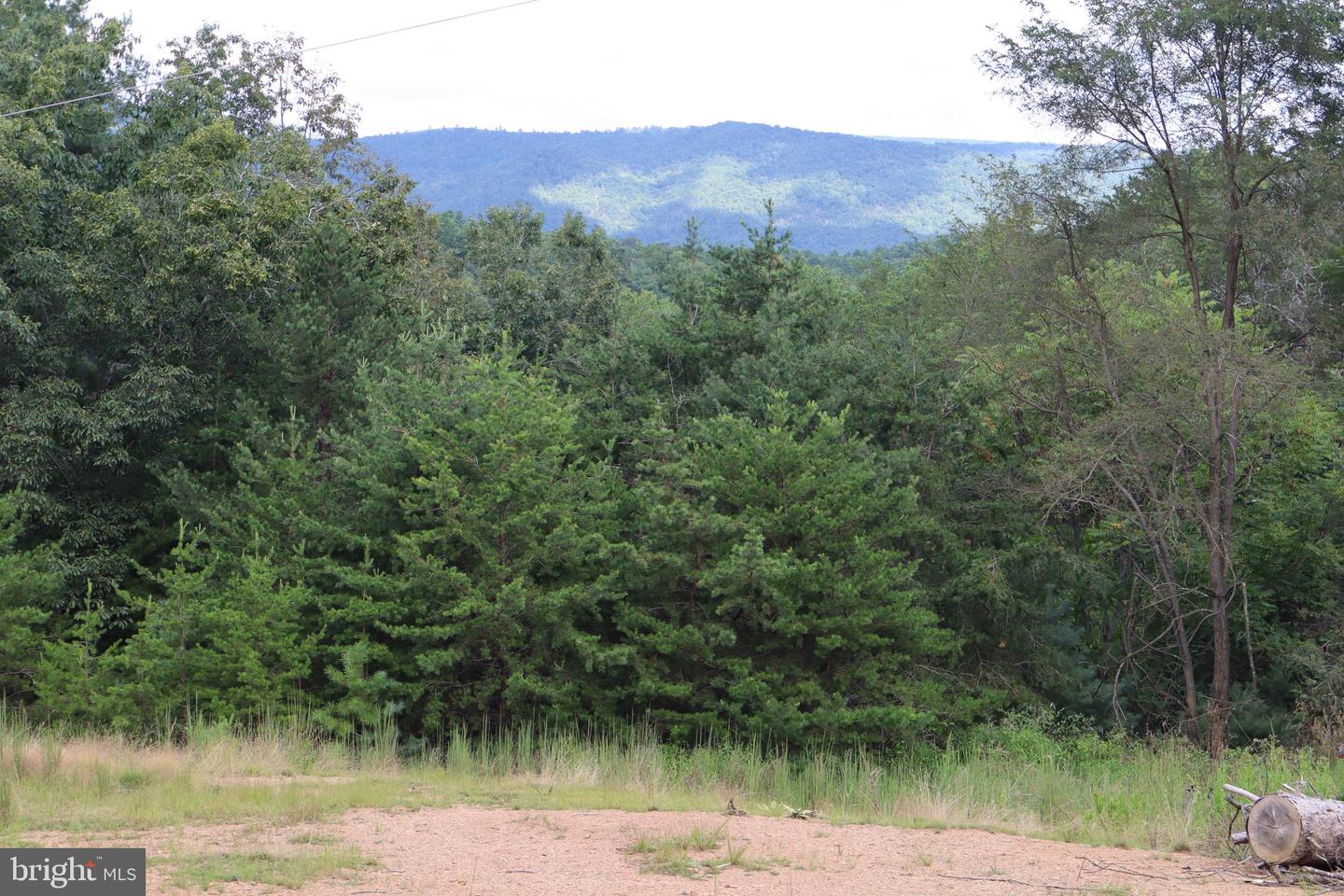 418 R & R Ridge Rd Property Photo 37