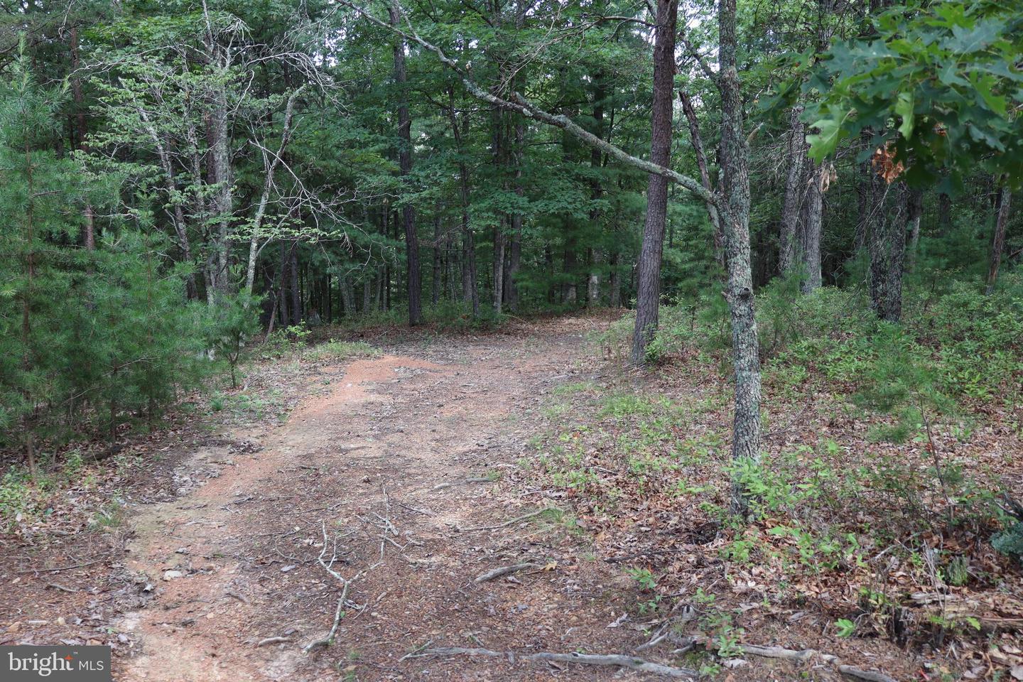 418 R & R Ridge Rd Property Photo 40