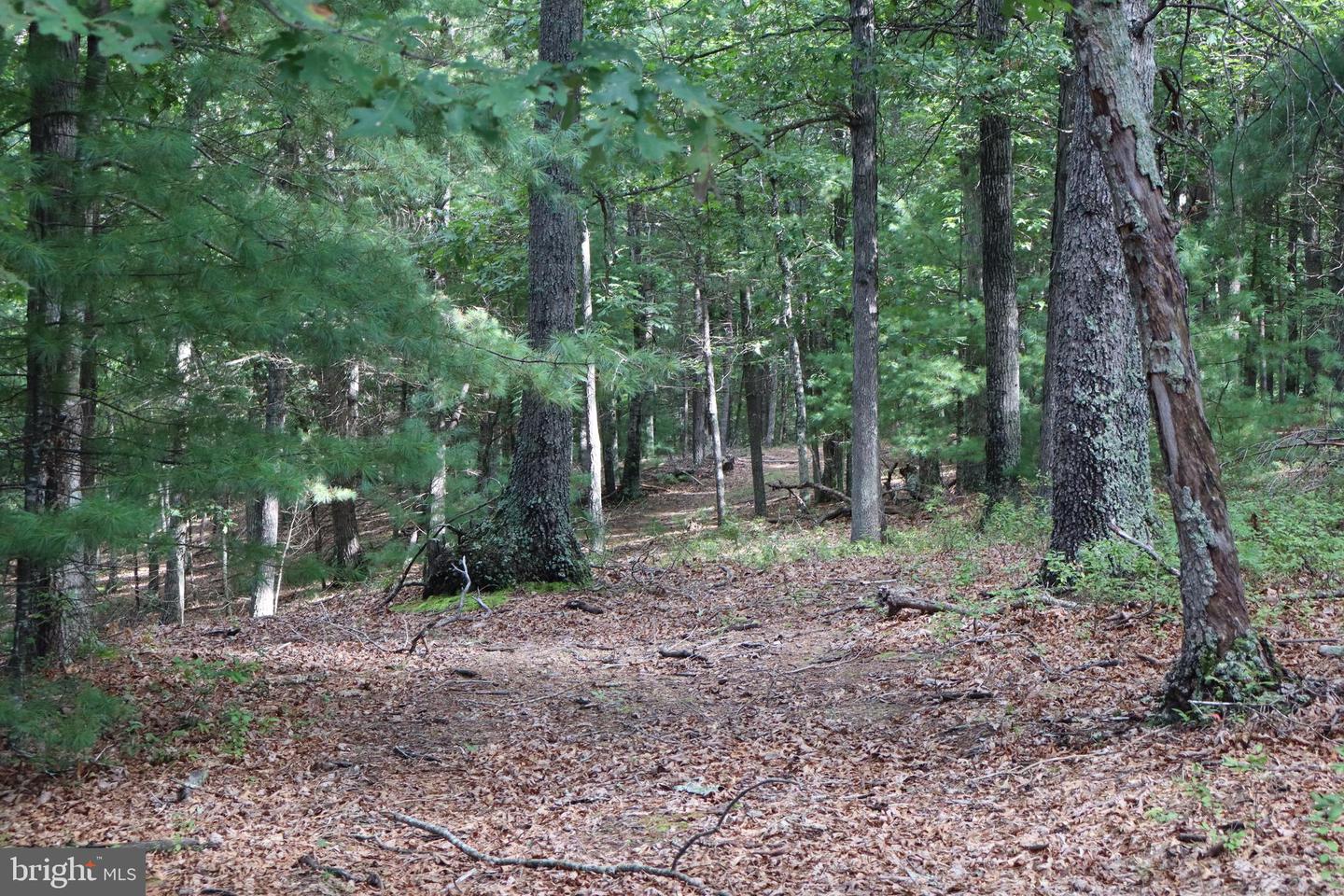 418 R & R Ridge Rd Property Photo 41