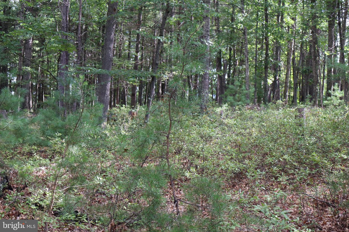 418 R & R Ridge Rd Property Photo 42