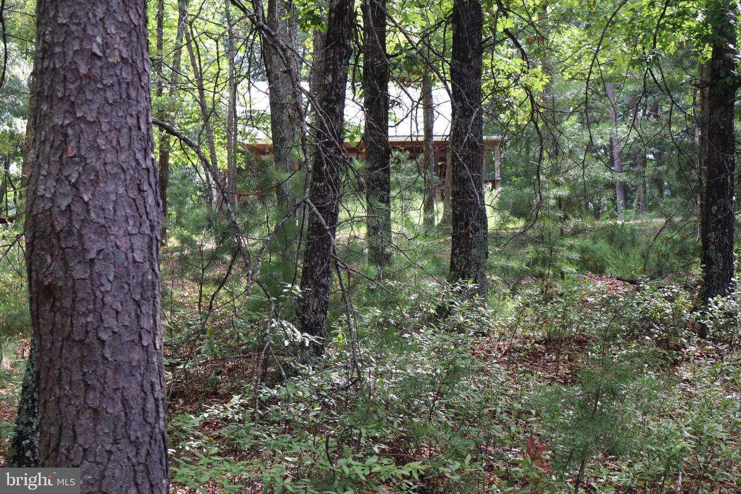 418 R & R Ridge Rd Property Photo 43