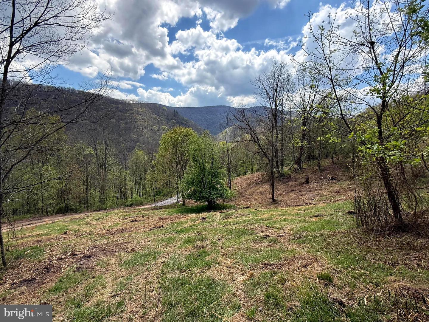 Tract 2-30.82 Acs Straders Run Rd Property Photo 2