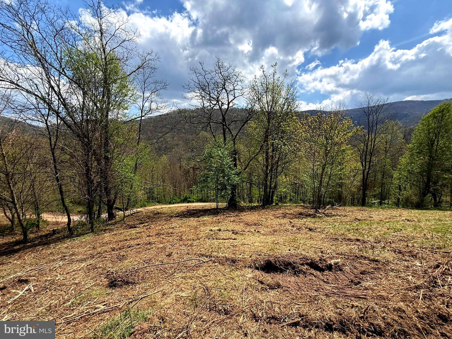 Tract 2-30.82 Acs Straders Run Rd Property Photo 4