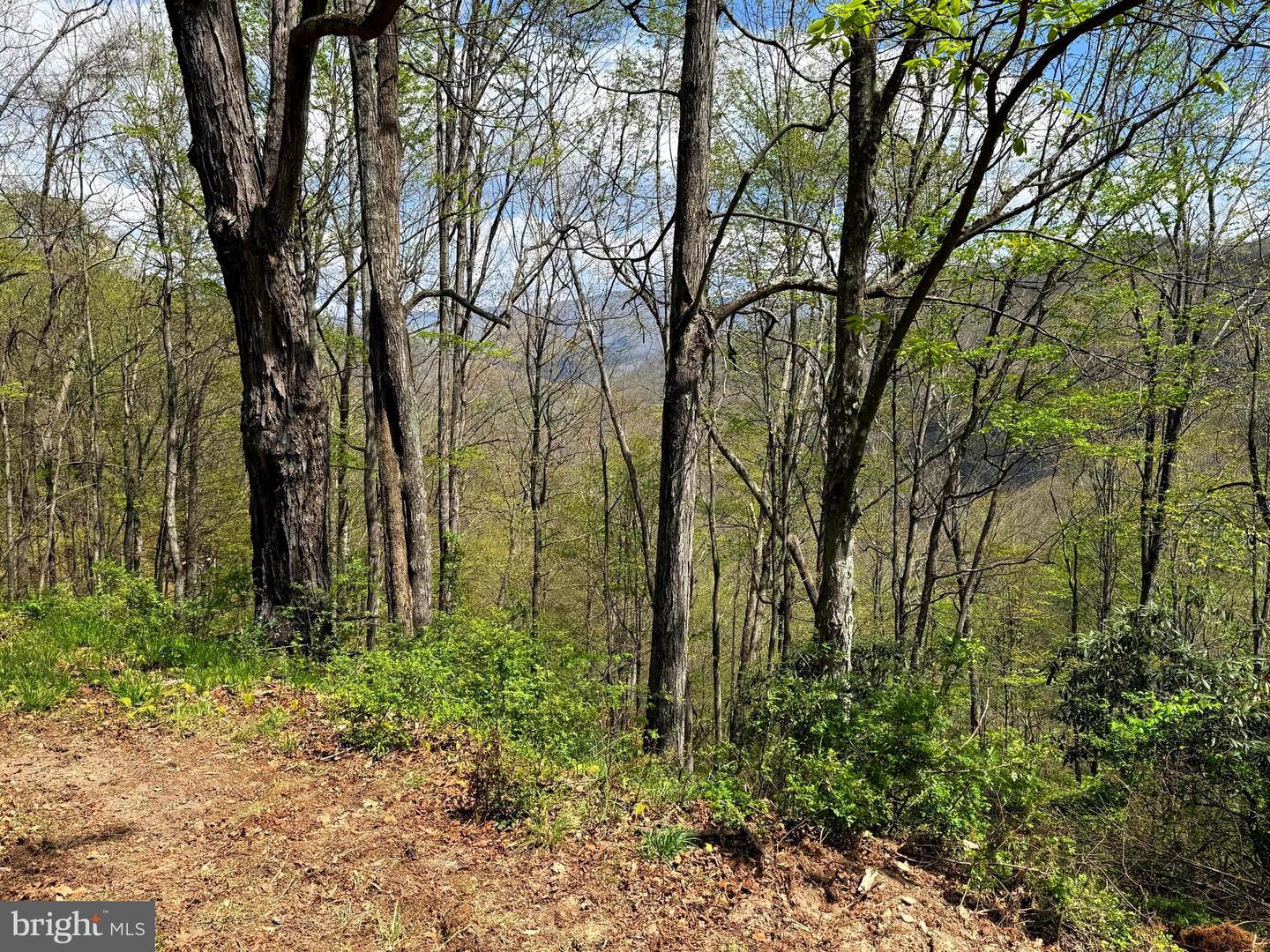 Tract 2-30.82 Acs Straders Run Rd Property Photo 8