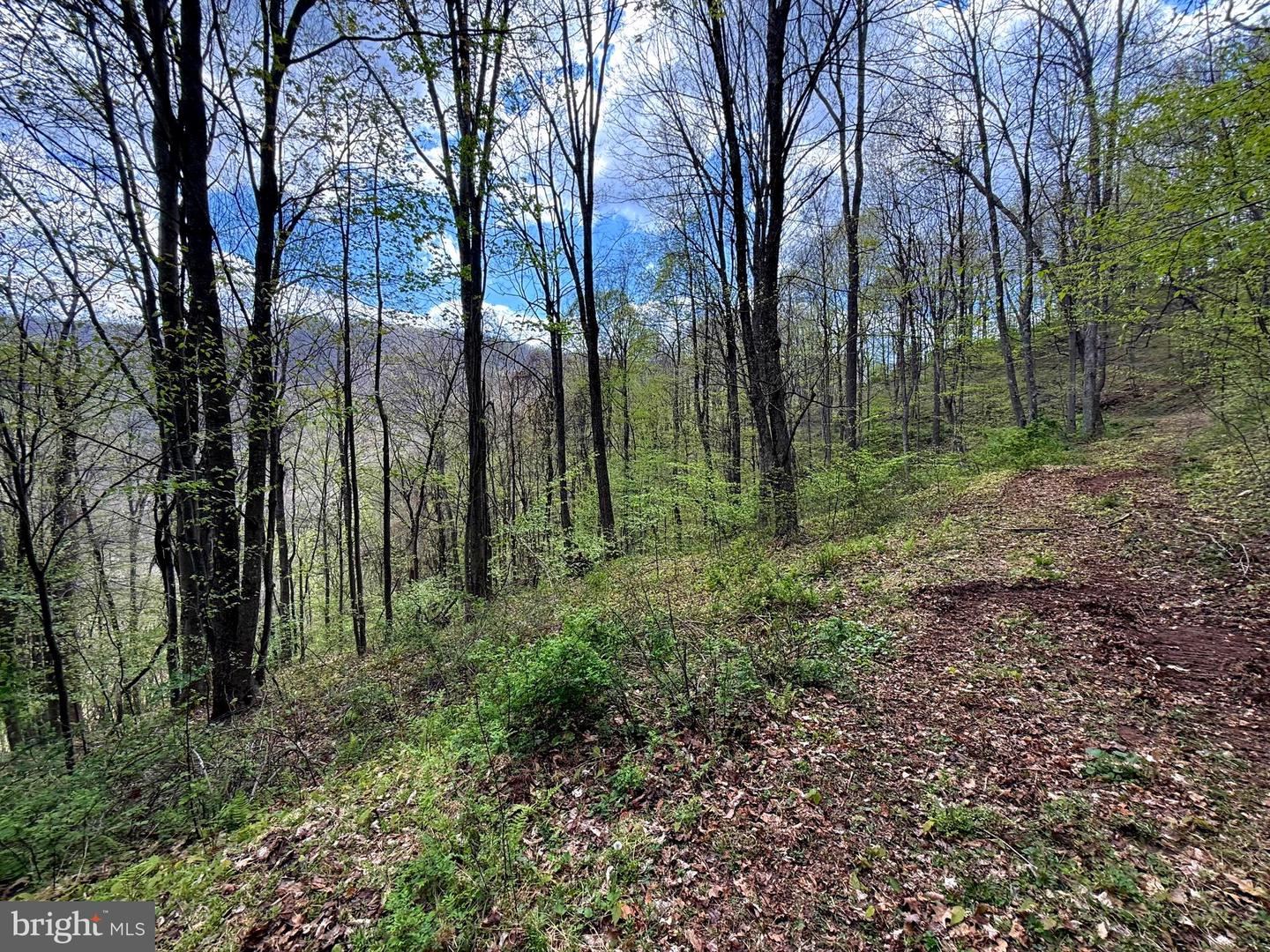 Tract 2-30.82 Acs Straders Run Rd Property Photo 10