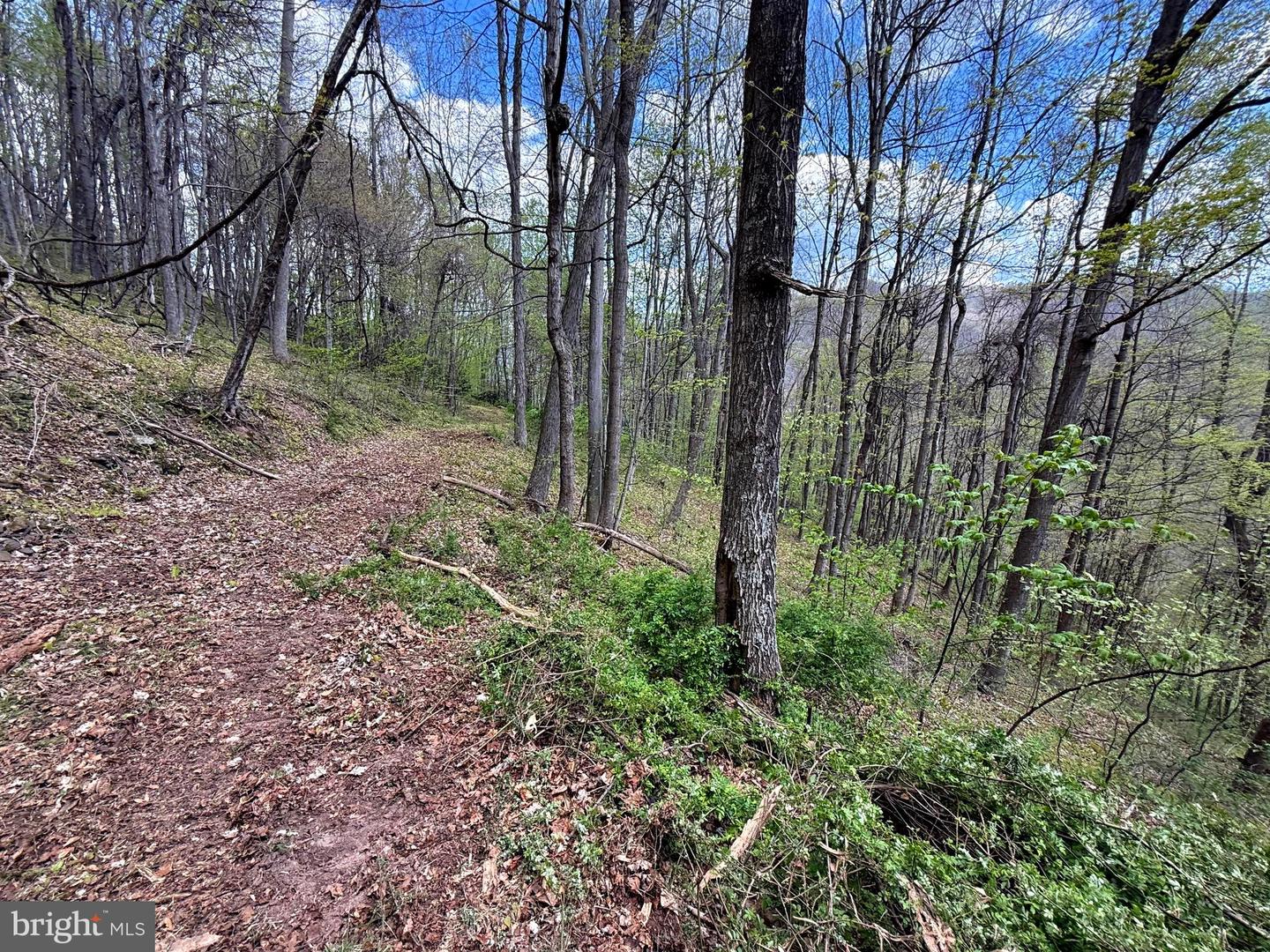 Tract 2-30.82 Acs Straders Run Rd Property Photo 11