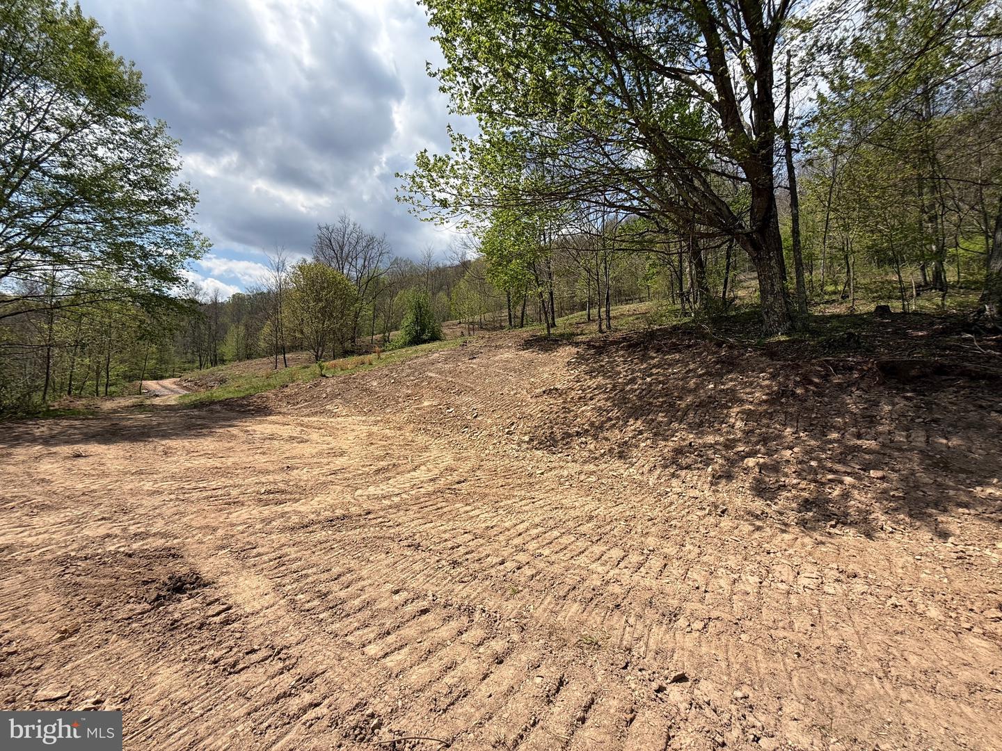 Tract 2-30.82 Acs Straders Run Rd Property Photo 15
