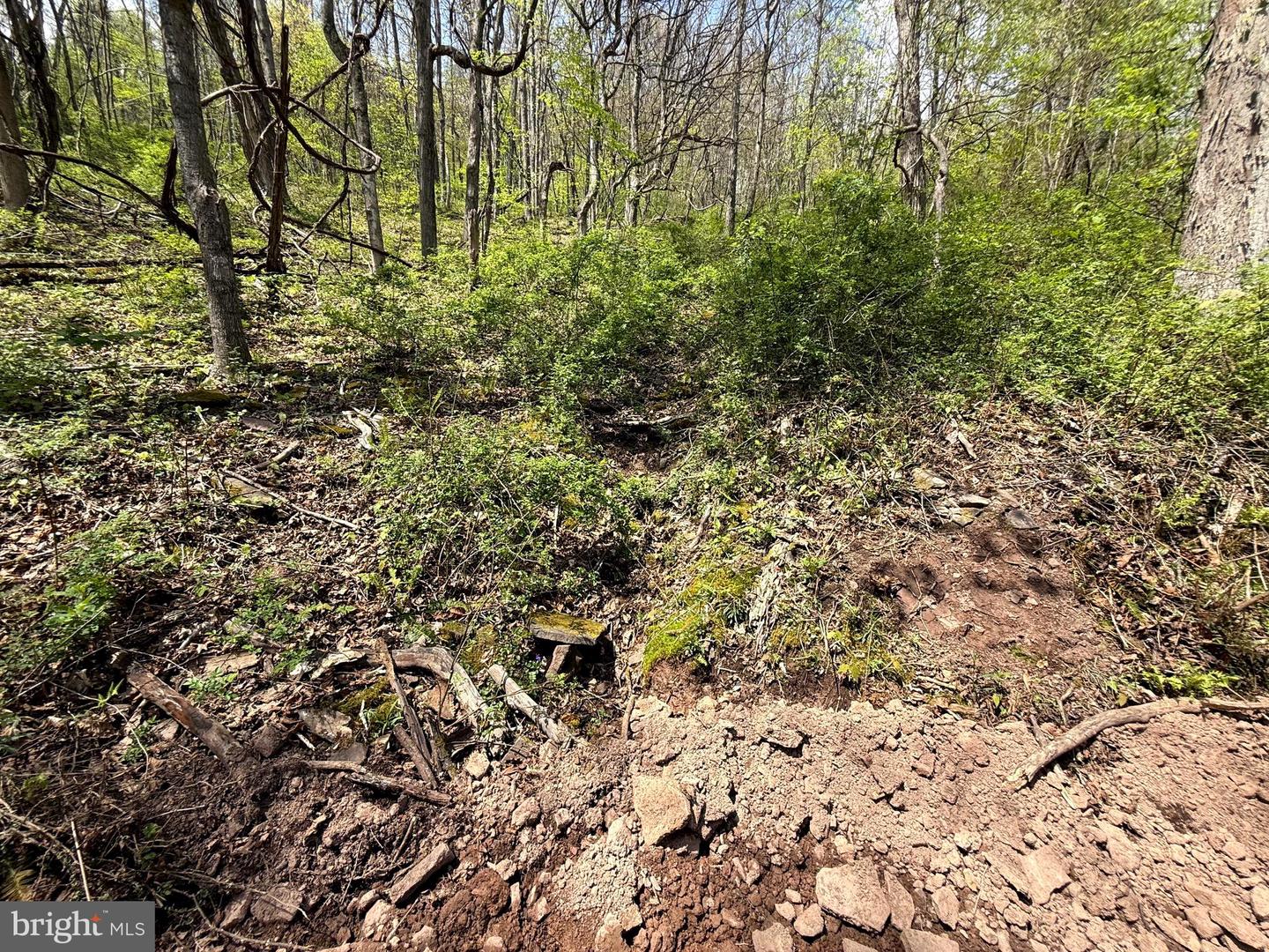 Tract 2-30.82 Acs Straders Run Rd Property Photo 20