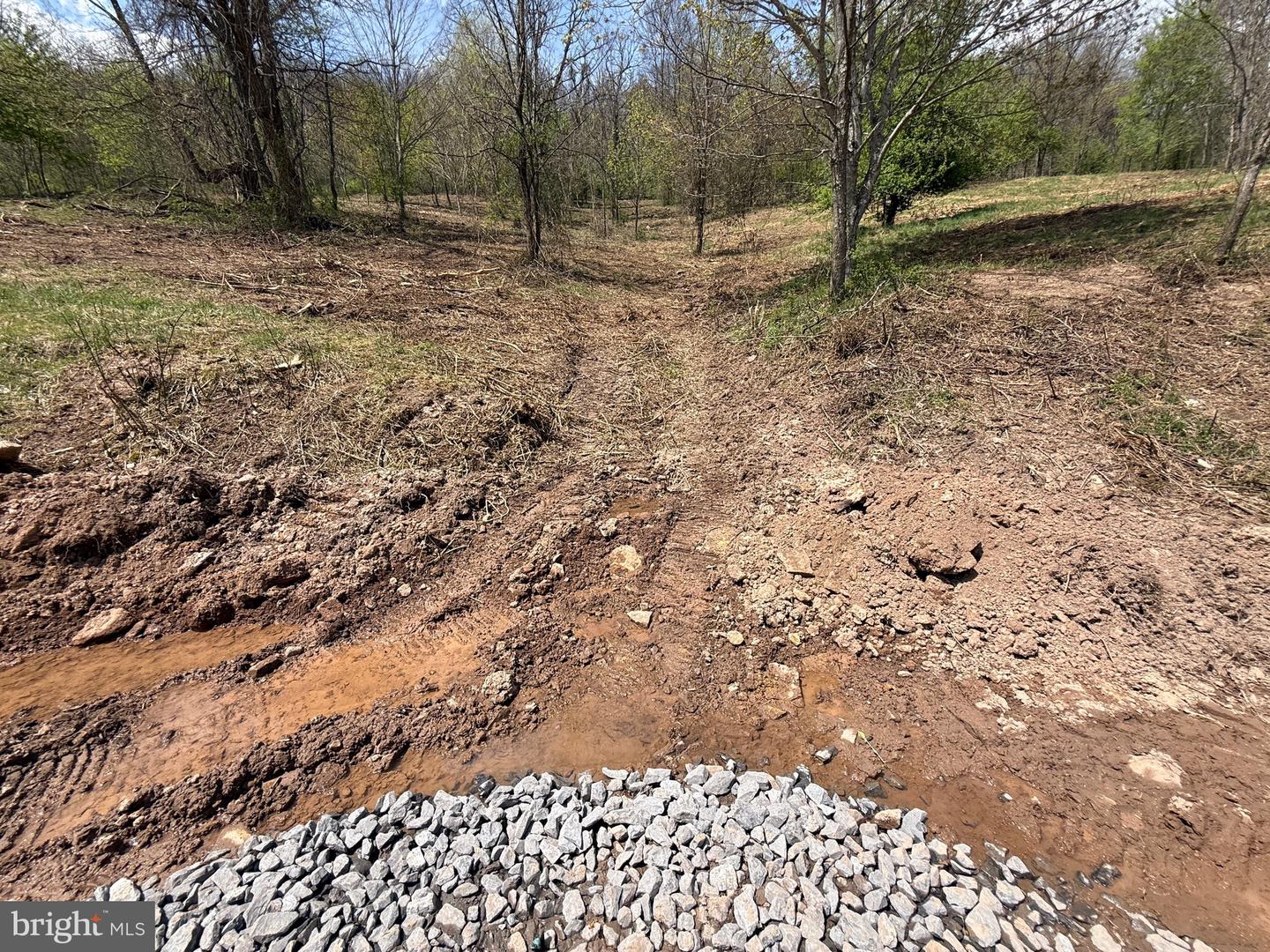 Tract 2-30.82 Acs Straders Run Rd Property Photo 23