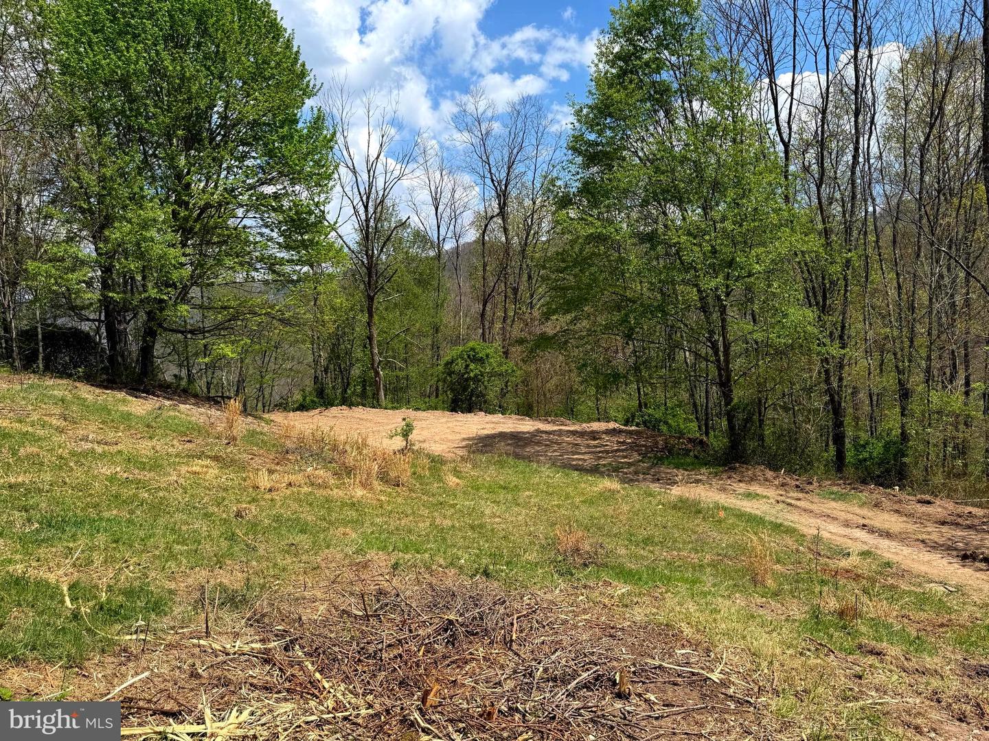 Tract 2-30.82 Acs Straders Run Rd Property Photo 26