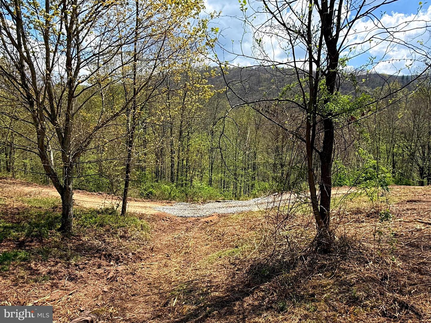 Tract 2-30.82 Acs Straders Run Rd Property Photo 27