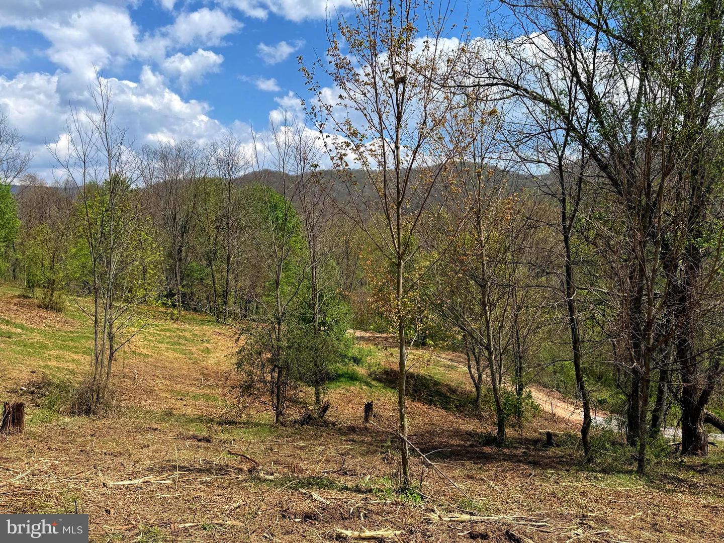Tract 2-30.82 Acs Straders Run Rd Property Photo 28