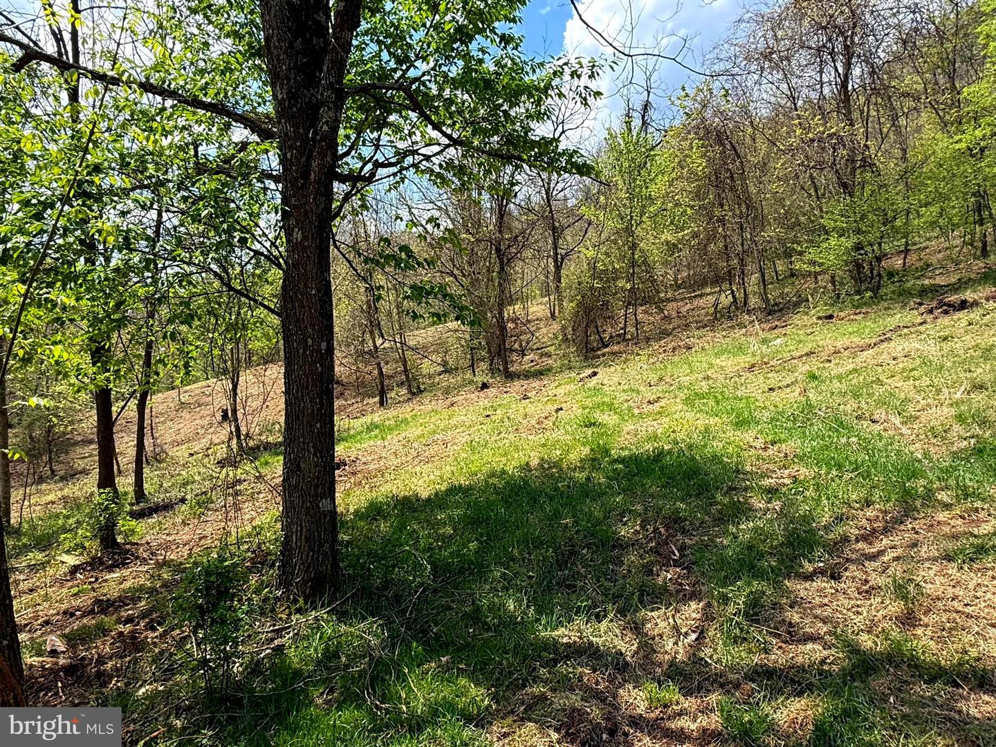 Tract 2-30.82 Acs Straders Run Rd Property Photo 29
