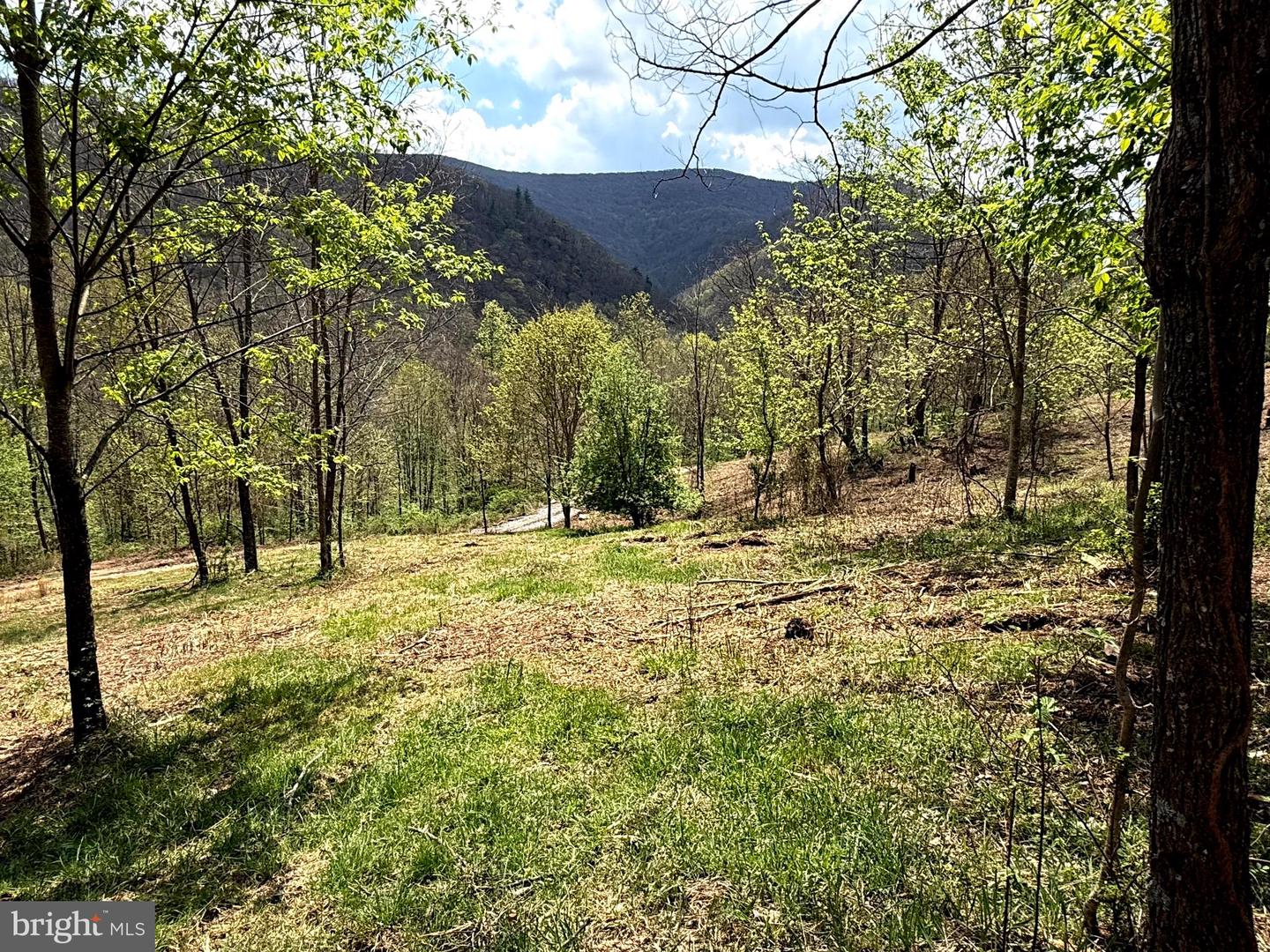 Tract 2-30.82 Acs Straders Run Rd Property Photo 30