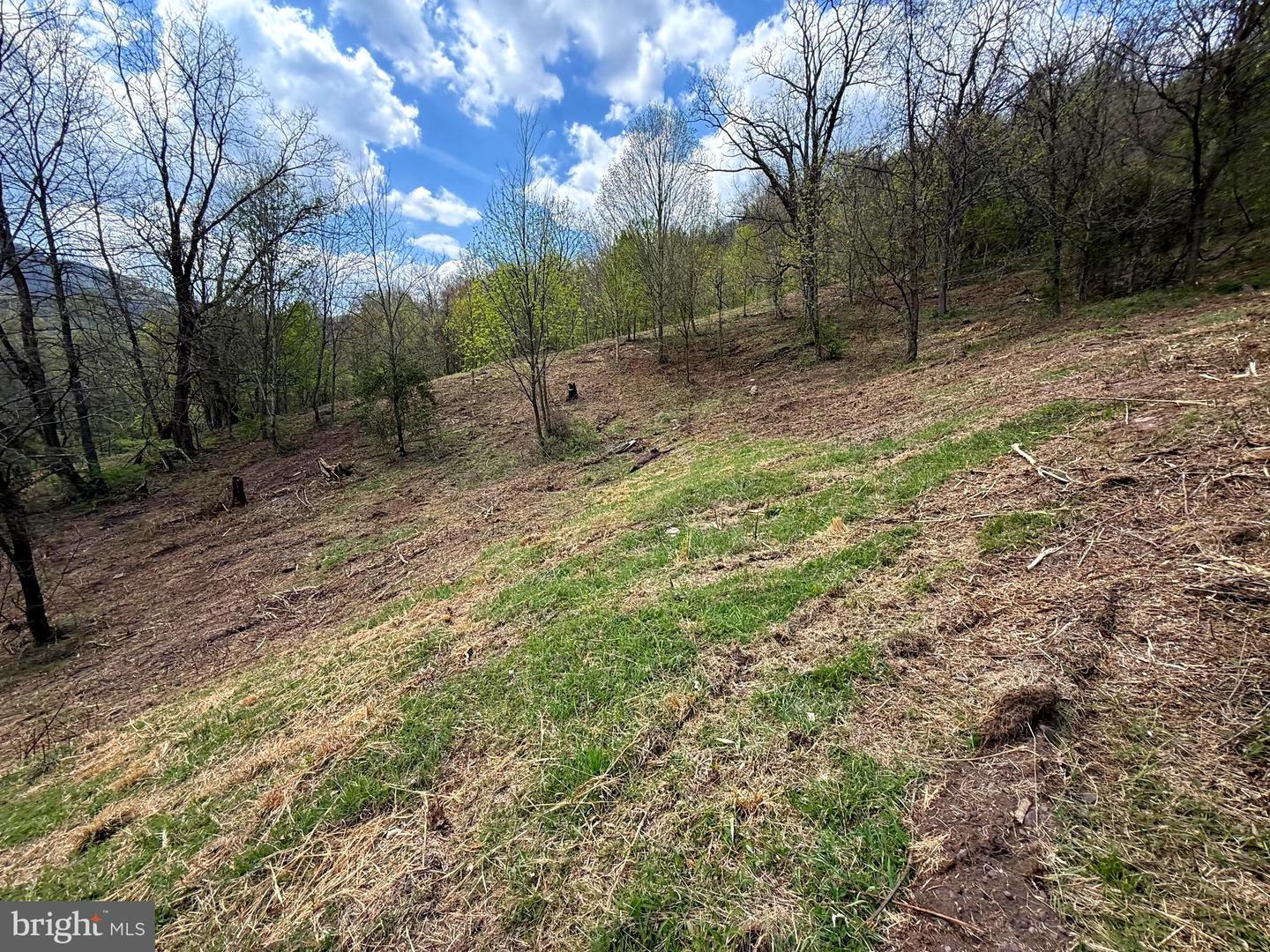 Tract 2-30.82 Acs Straders Run Rd Property Photo 31