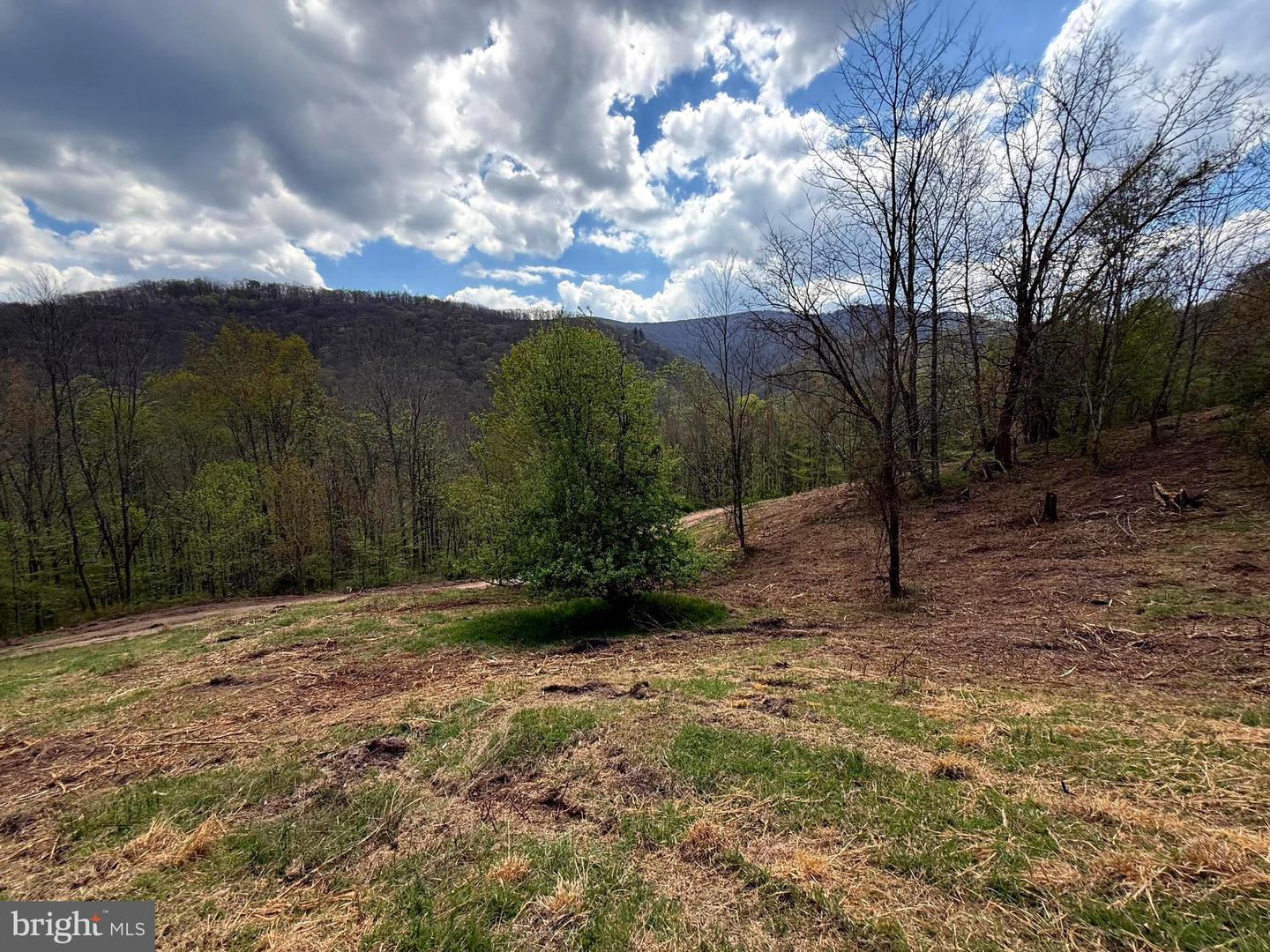 Tract 2-30.82 Acs Straders Run Rd Property Photo 34