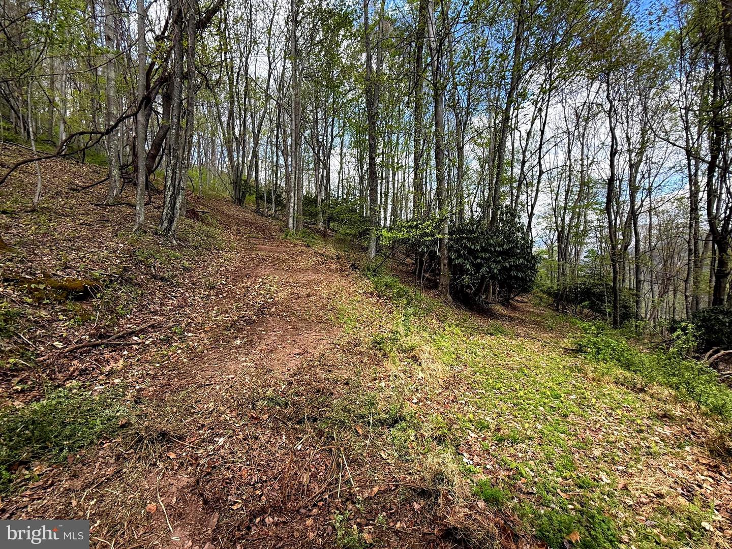 Tract 2-30.82 Acs Straders Run Rd Property Photo 37
