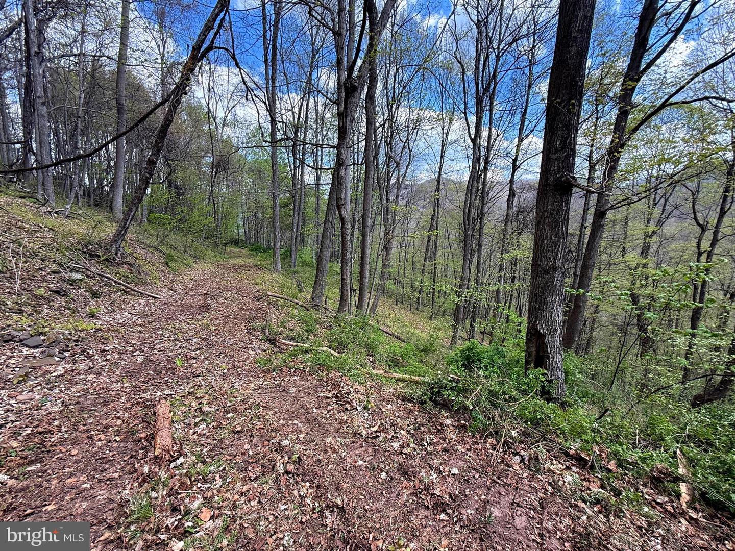Tract 2-30.82 Acs Straders Run Rd Property Photo 39