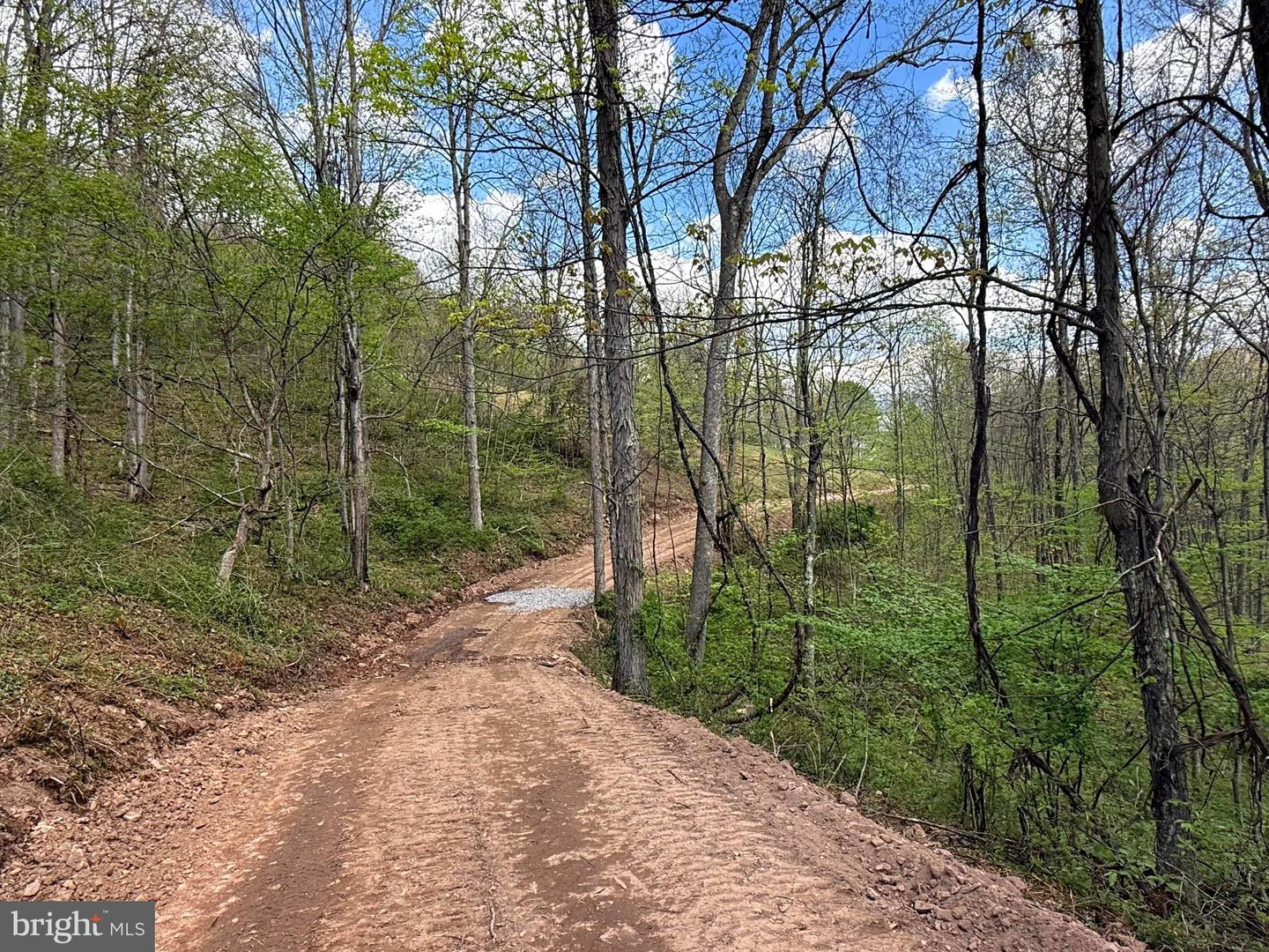 Tract 2-30.82 Acs Straders Run Rd Property Photo 41