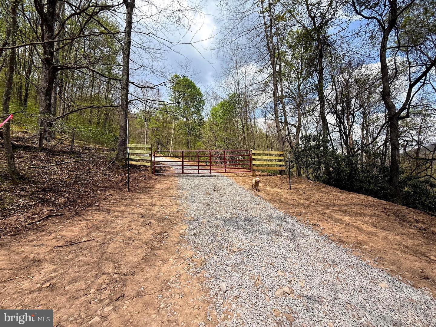 Tract 2-30.82 Acs Straders Run Rd Property Photo 42