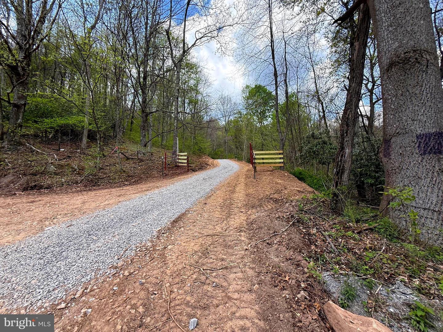 Tract 2-30.82 Acs Straders Run Rd Property Photo 43