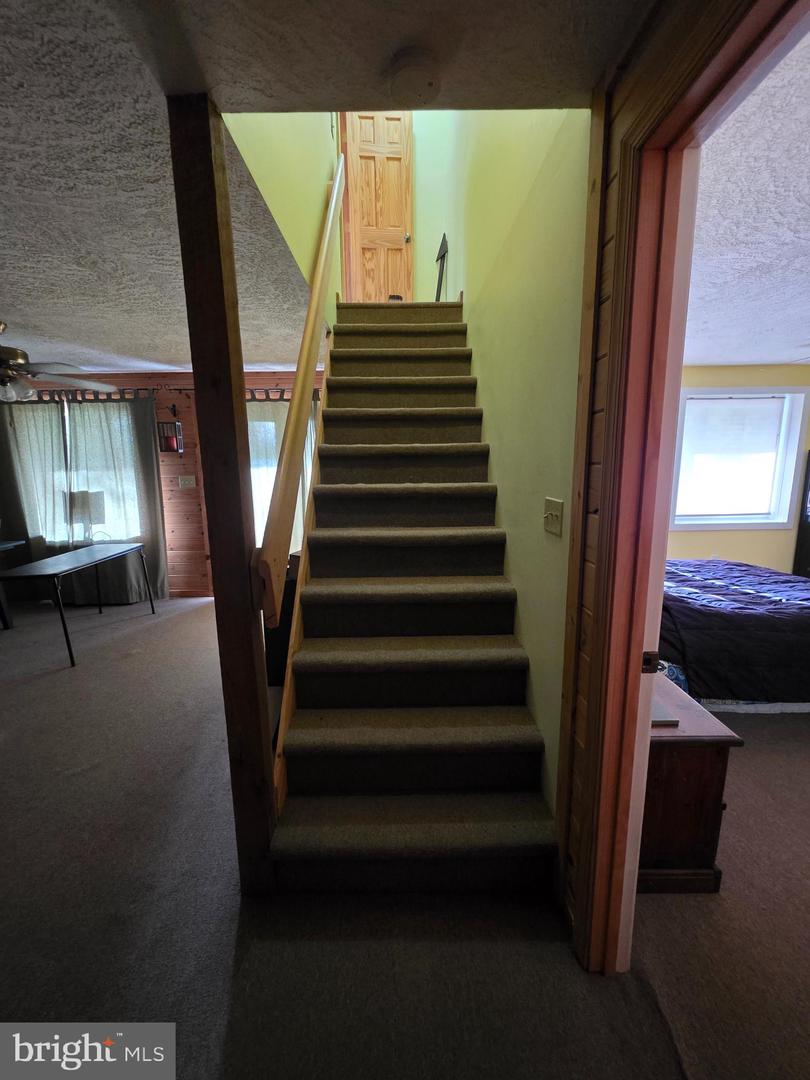 384 Scarlet Tanager Trl Property Photo 13
