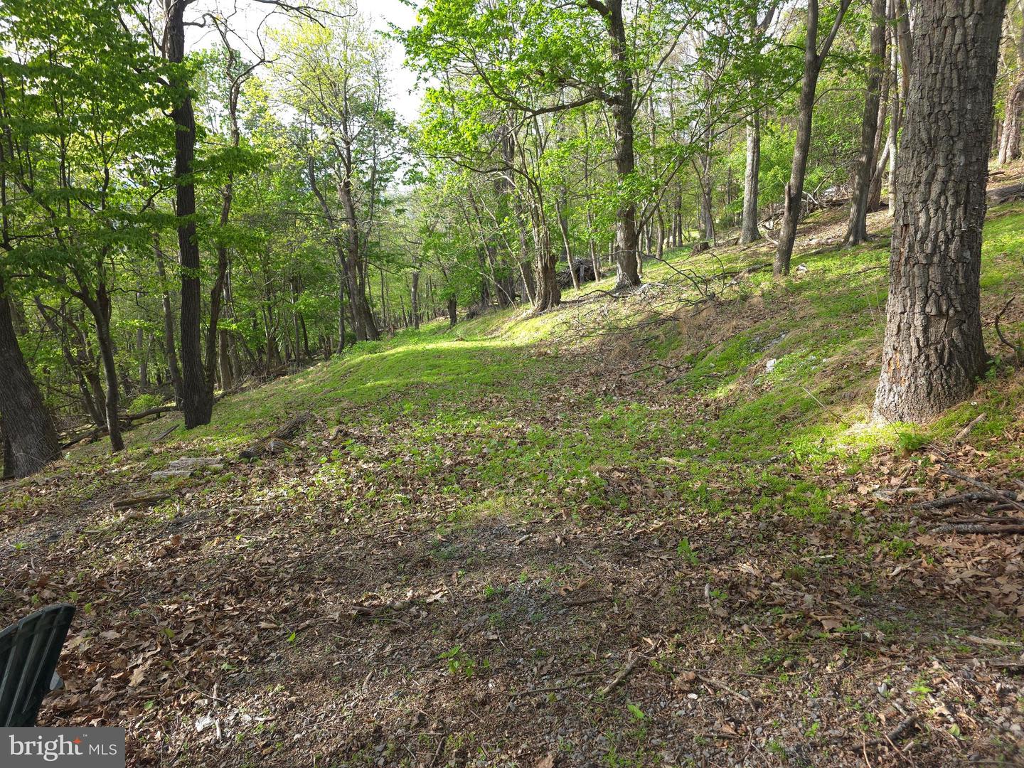 384 Scarlet Tanager Trl Property Photo 42