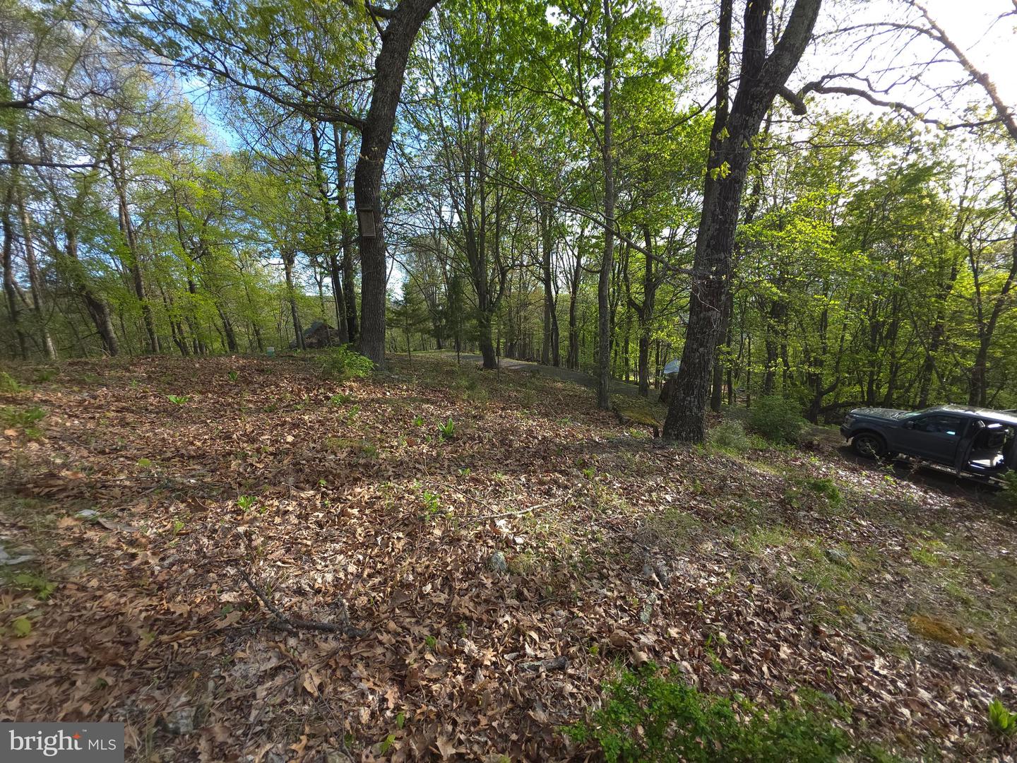 384 Scarlet Tanager Trl Property Photo 44