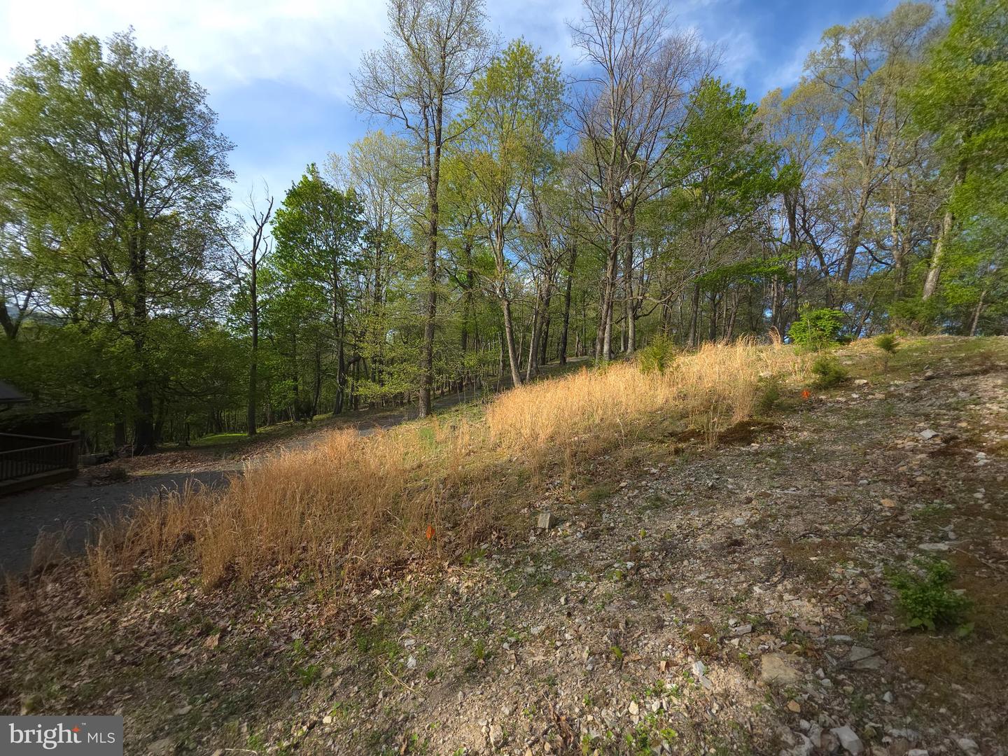 384 Scarlet Tanager Trl Property Photo 47