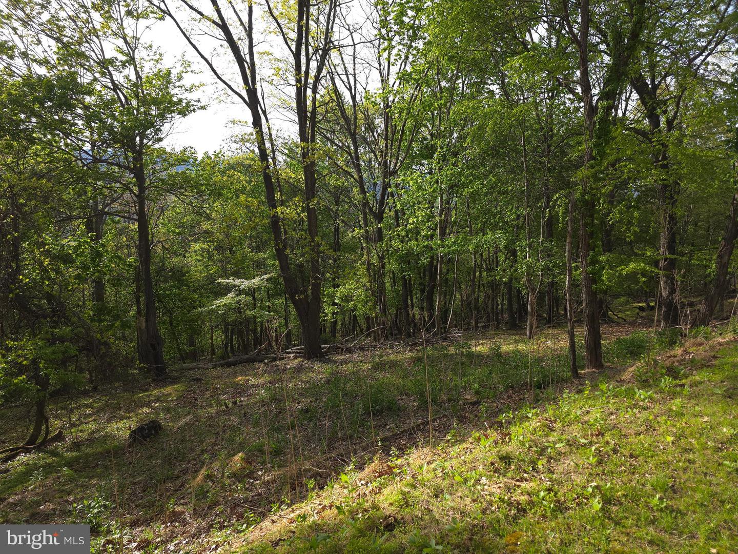 384 Scarlet Tanager Trl Property Photo 48