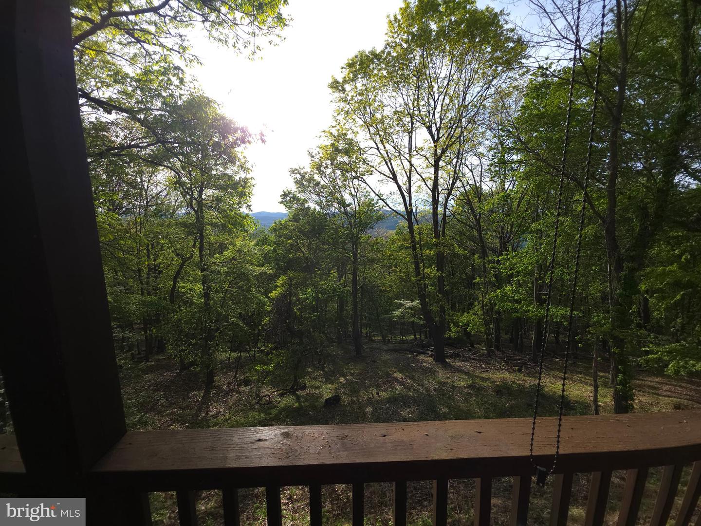 384 Scarlet Tanager Trl Property Photo 49