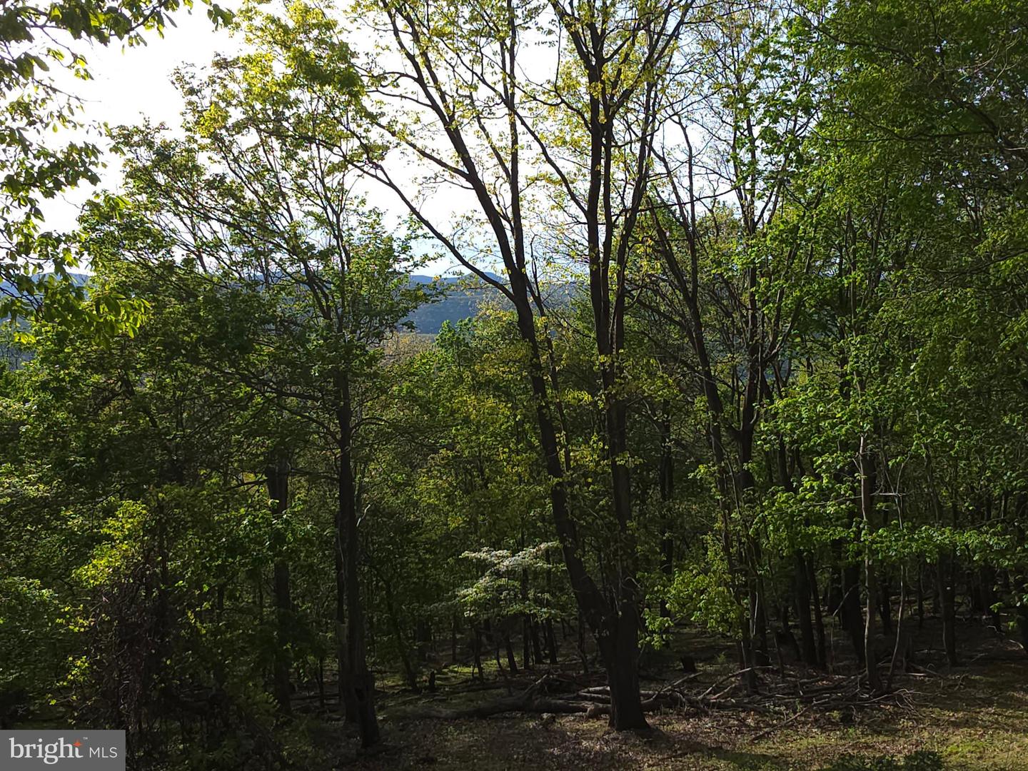 384 Scarlet Tanager Trl Property Photo 53