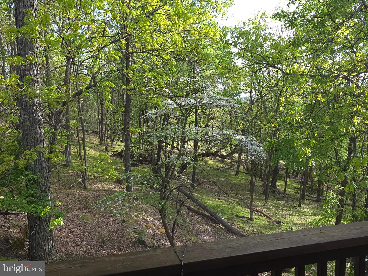 384 Scarlet Tanager Trl Property Photo 55