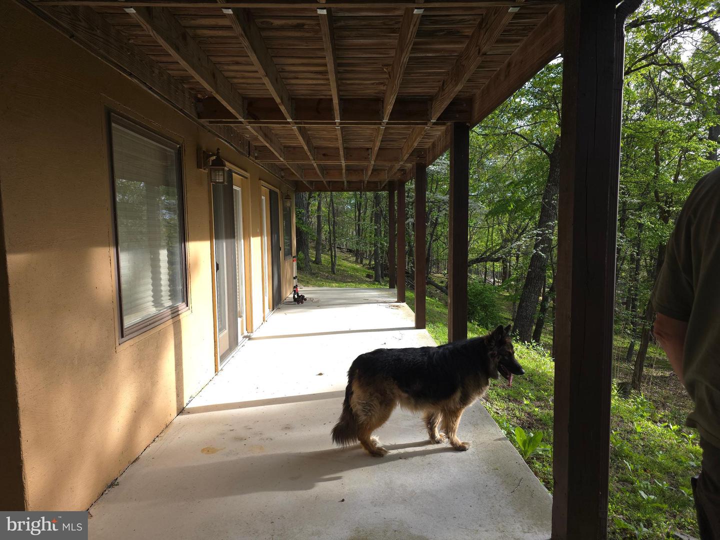 384 Scarlet Tanager Trl Property Photo 59