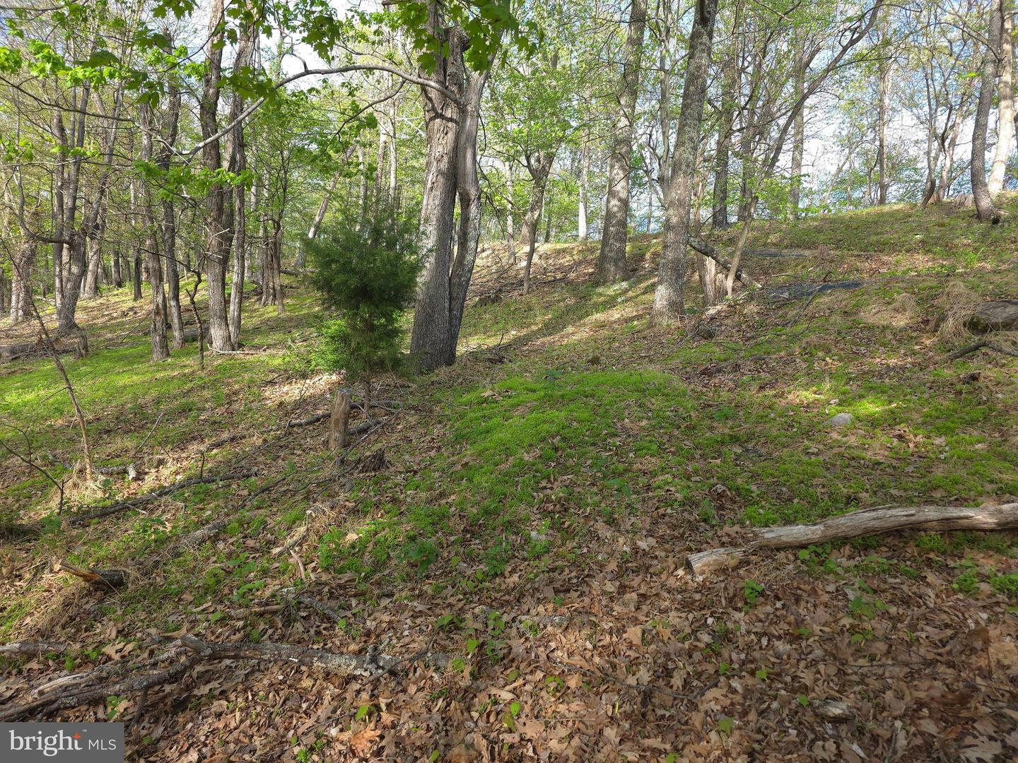 384 Scarlet Tanager Trl Property Photo 60