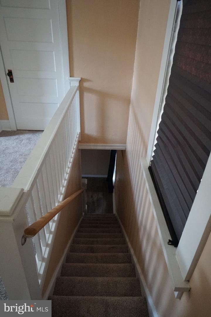 18 Spruce St Property Photo 19