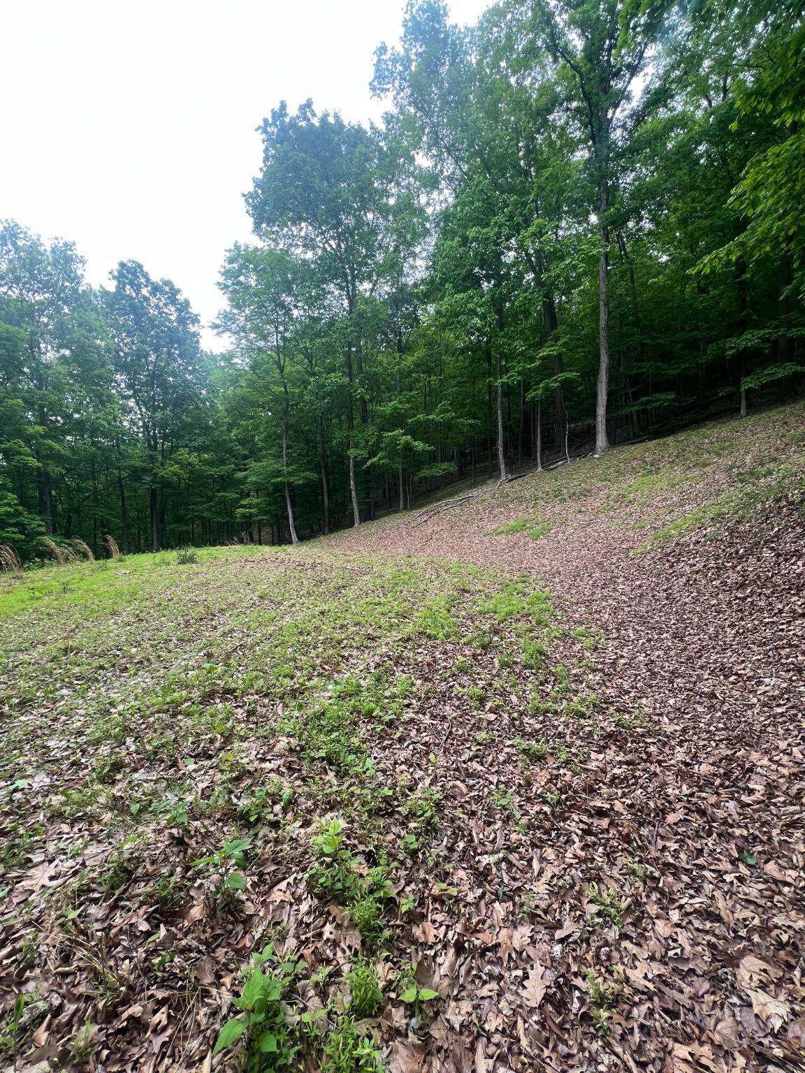 Edgar Ln Property Photo 2