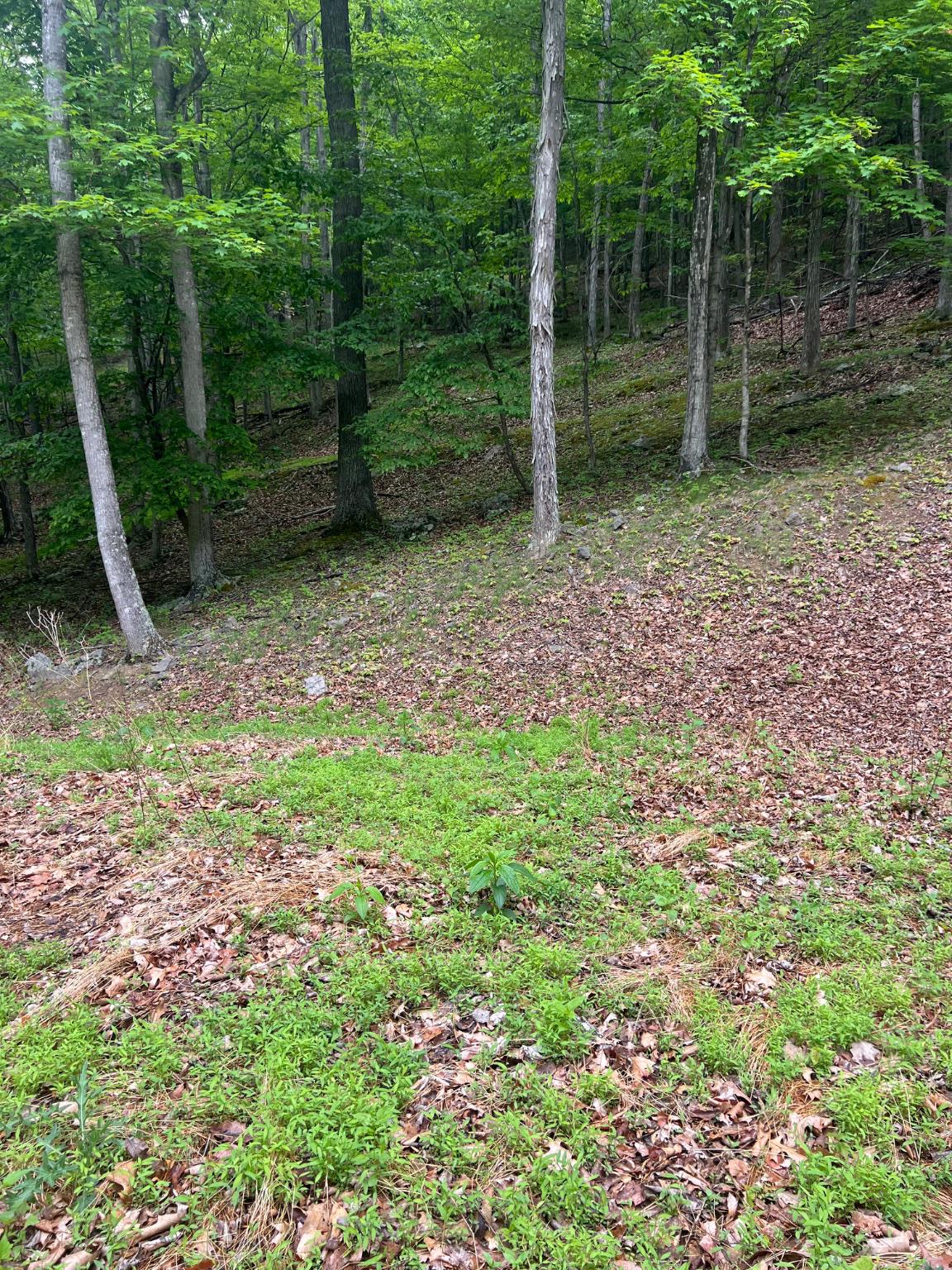 Edgar Ln Property Photo 5