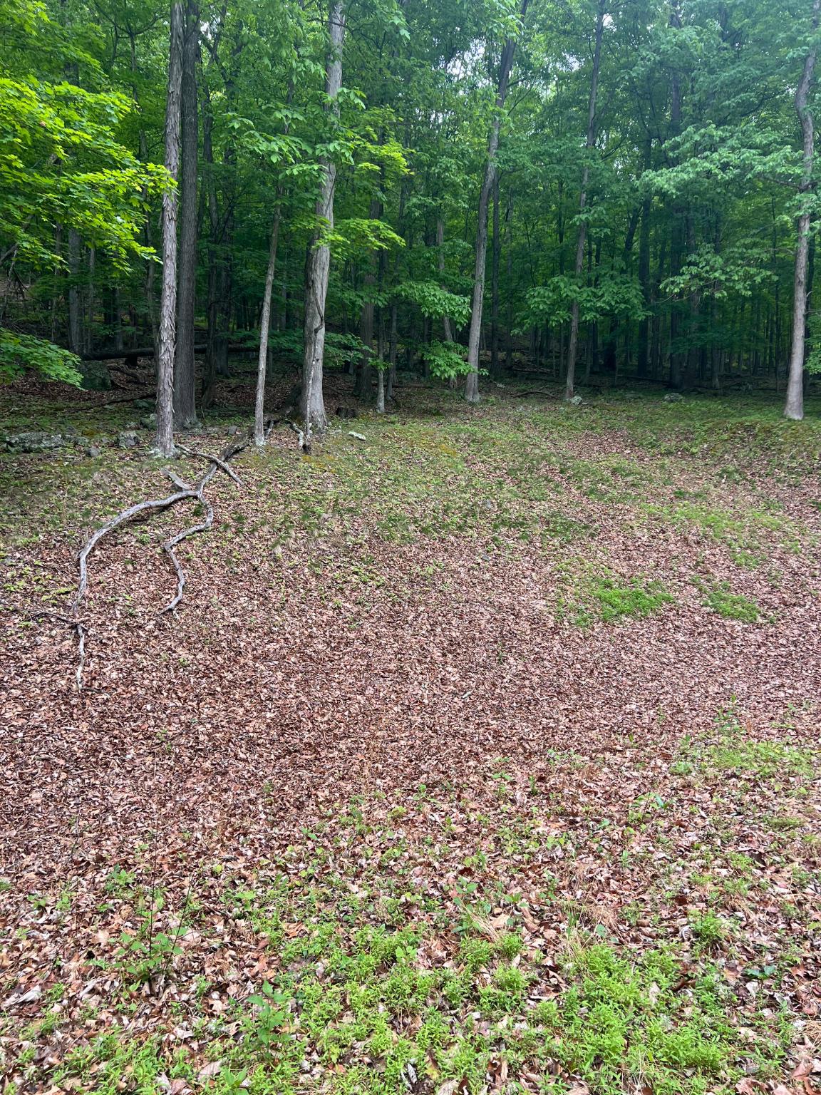 Edgar Ln Property Photo 6