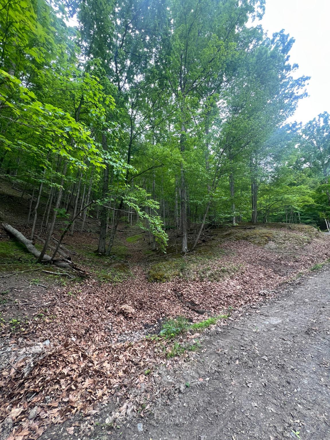 Edgar Ln Property Photo 18