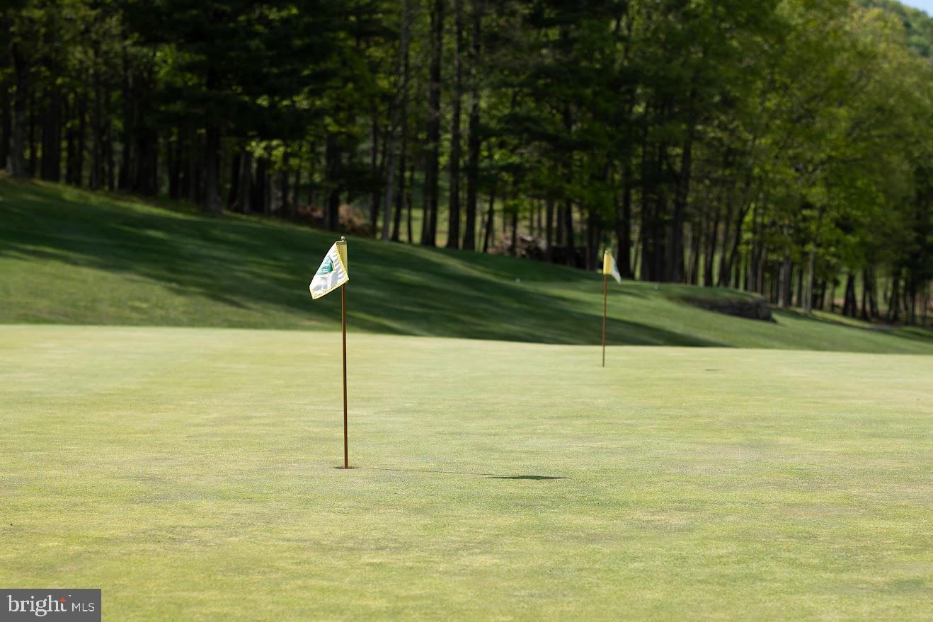 Golf Estates Premier Lot #5 Property Photo 21