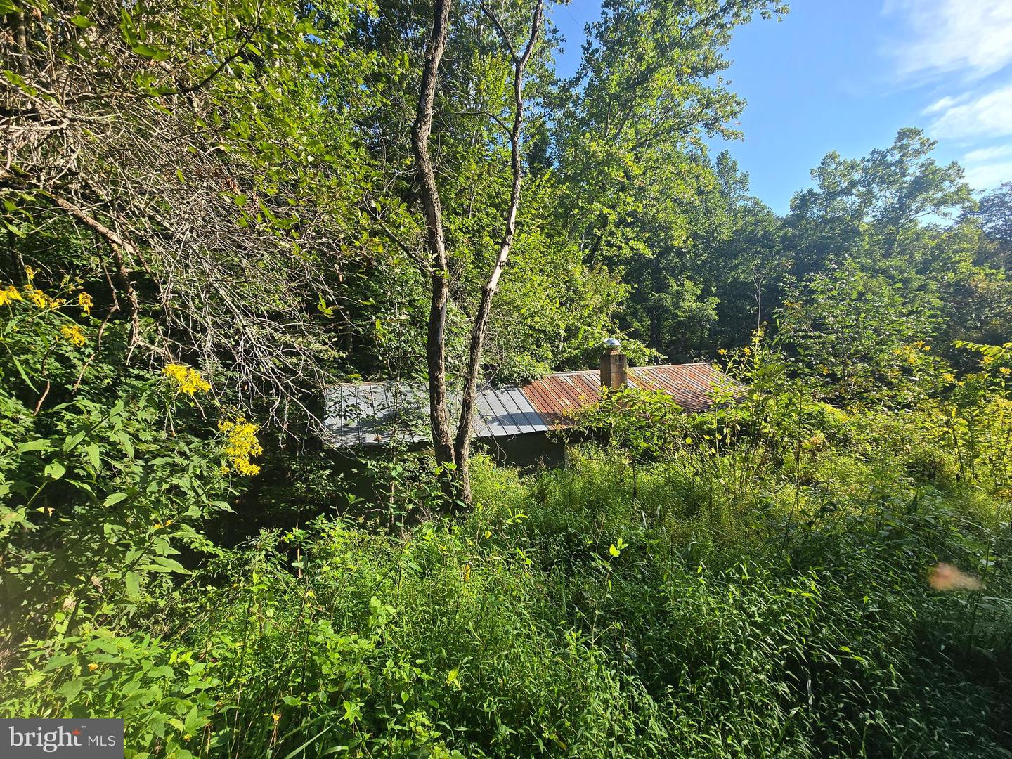 500 UPPER TIMBER RIDGE RD
