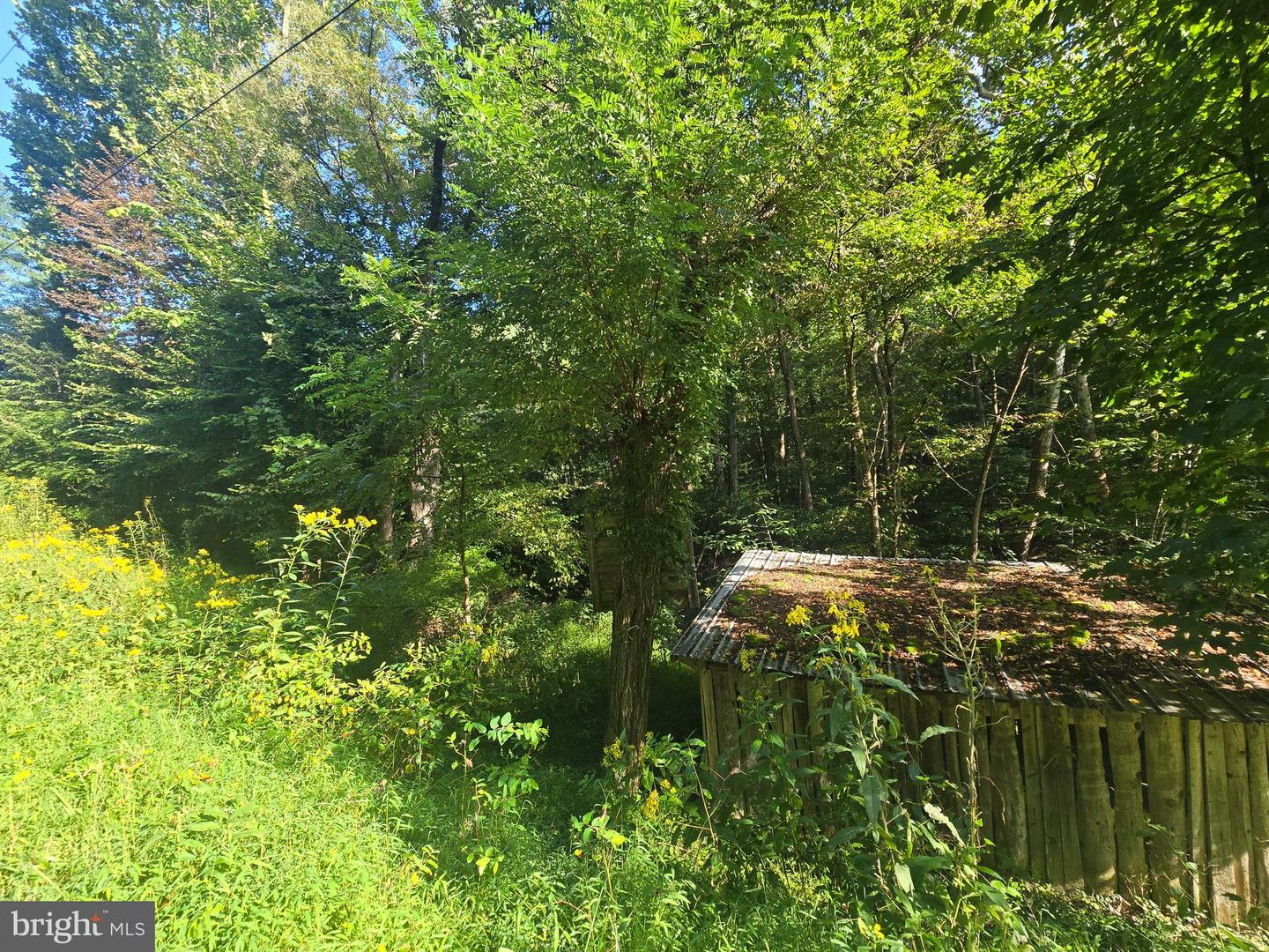 500 Upper Timber Ridge Rd Property Photo 4