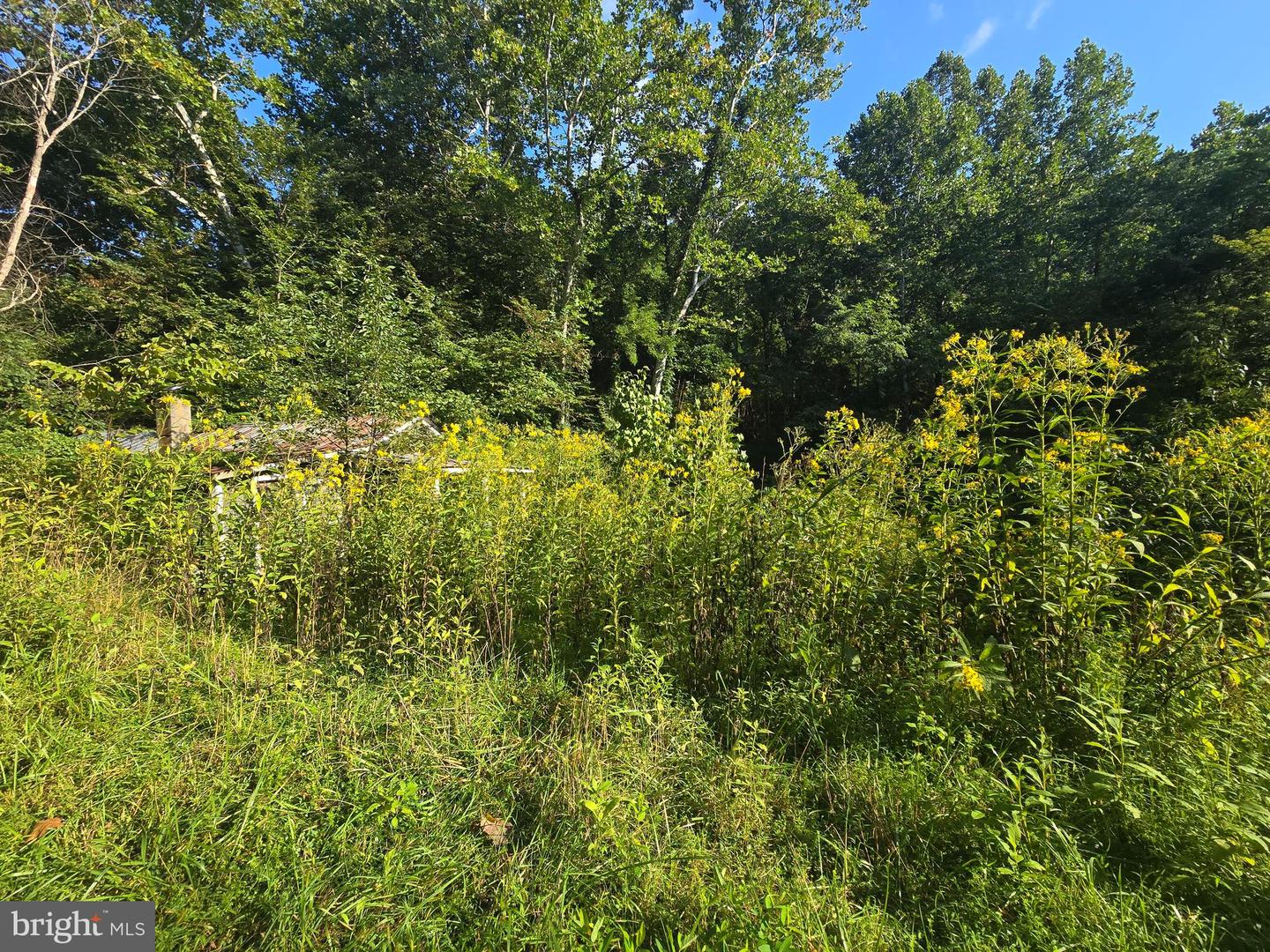 500 Upper Timber Ridge Rd Property Photo 7