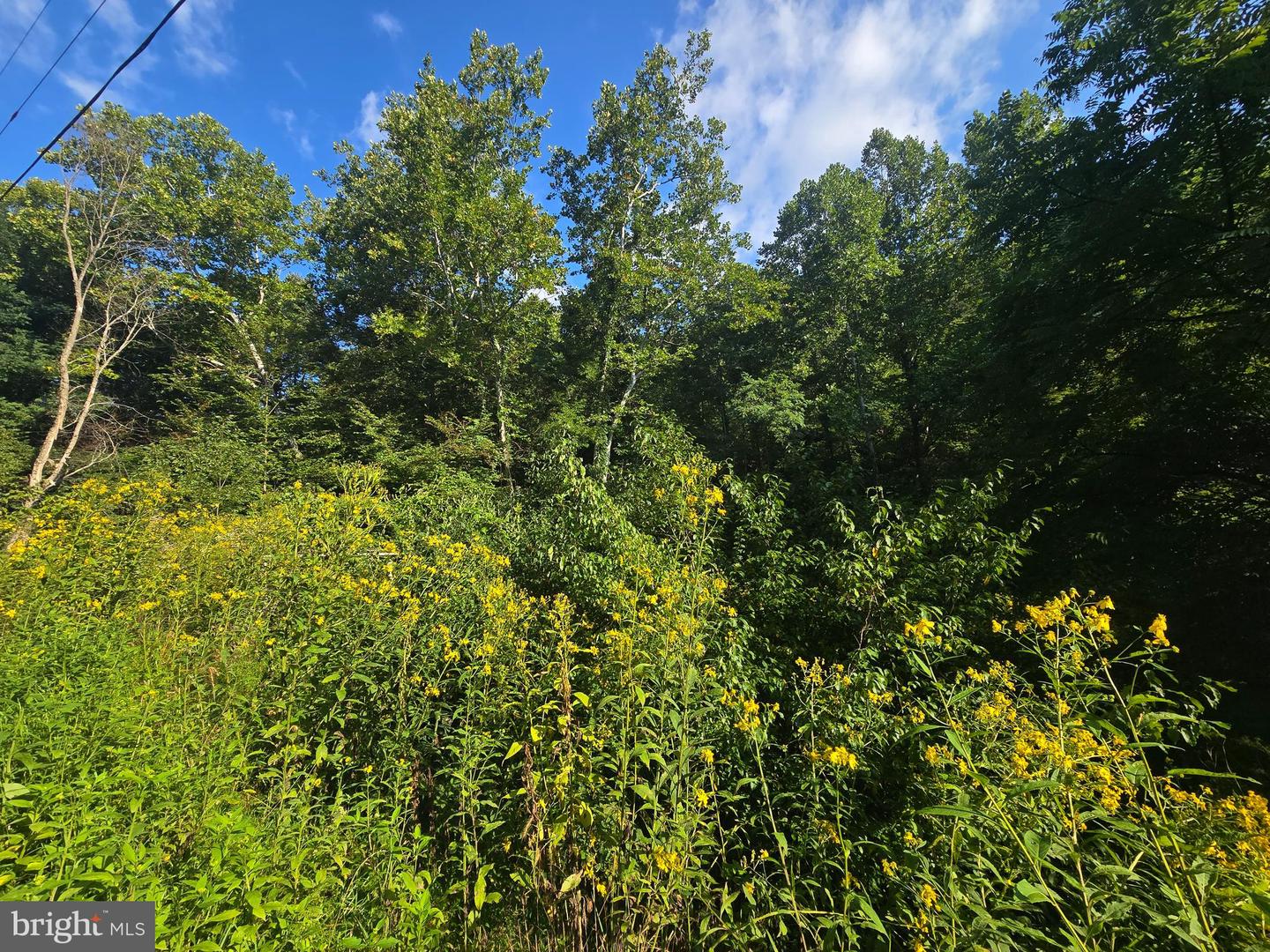 500 Upper Timber Ridge Rd Property Photo 8