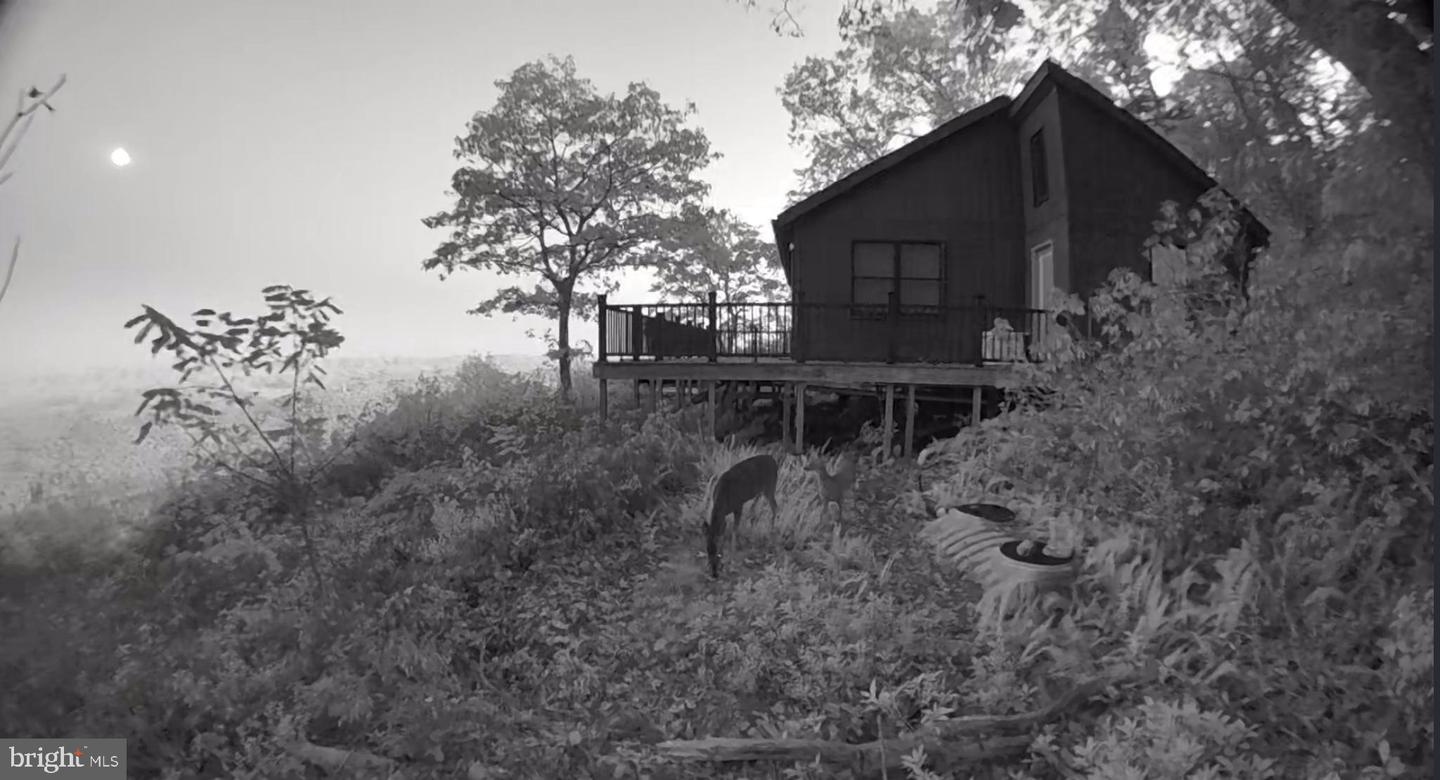 829 Kile Knob Rd Property Photo 6
