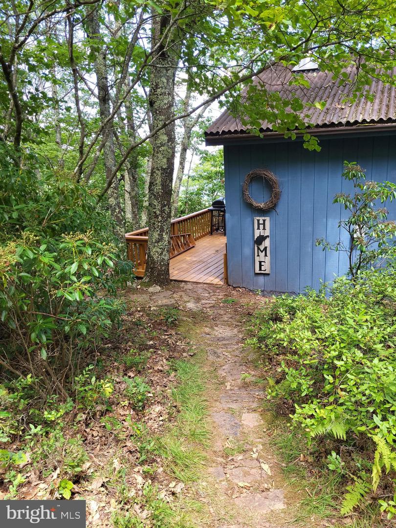207 Lower Knob Rd Property Photo 4