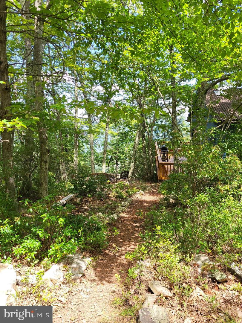 207 Lower Knob Rd Property Photo 30