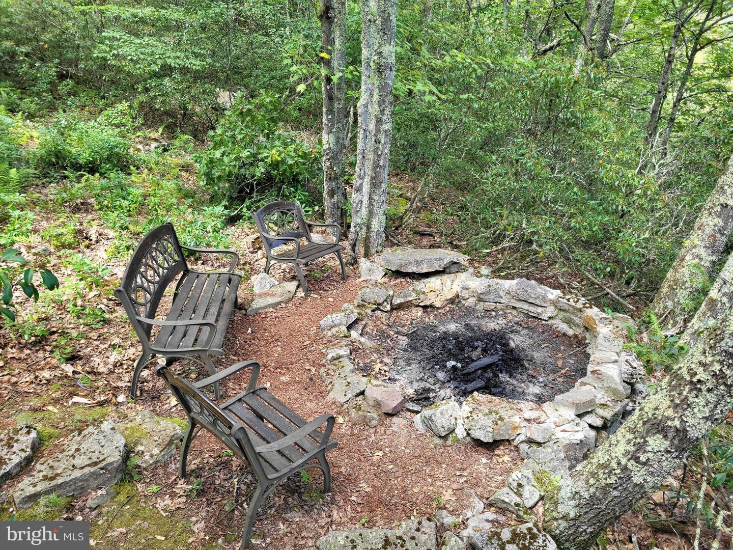 207 Lower Knob Rd Property Photo 34