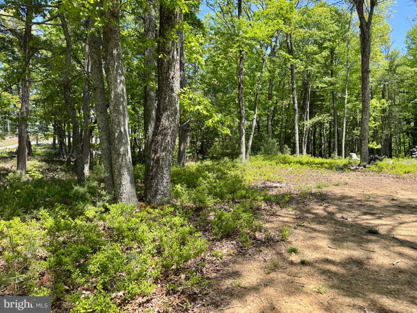Hr10 Golf Club Dr Property Photo 2
